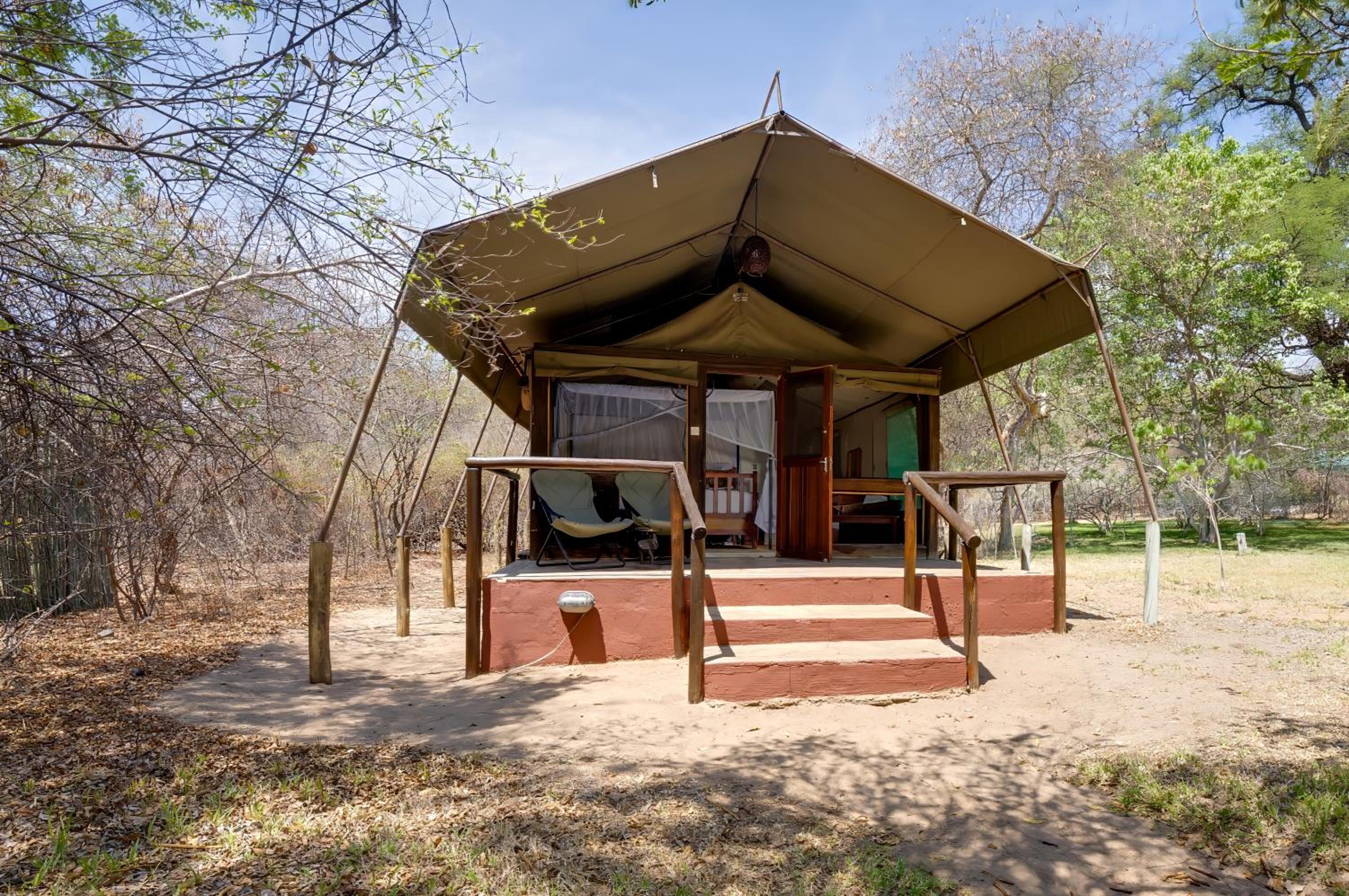 Family Tent with Forest View photo 1