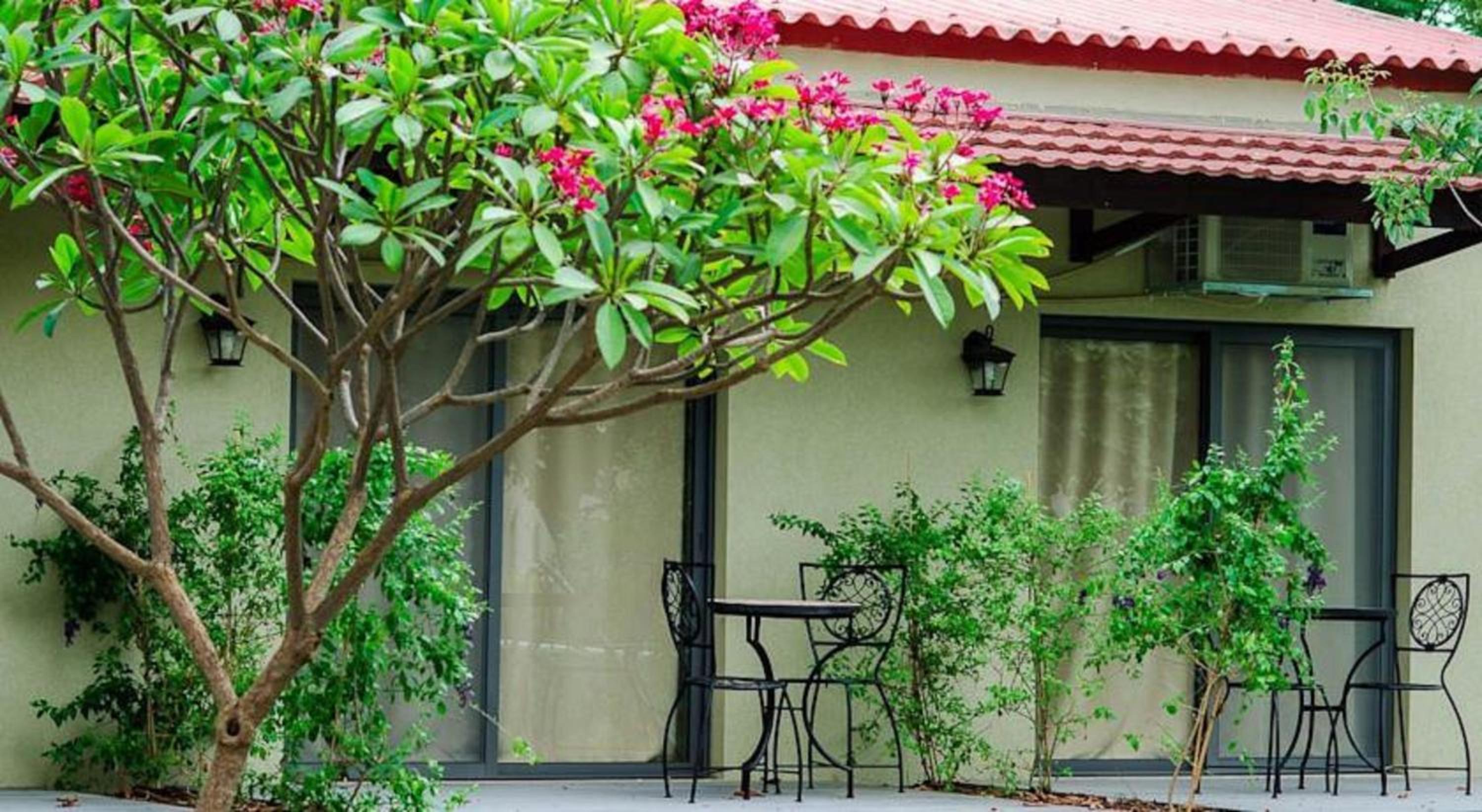 Family Room with Terrace photo 3