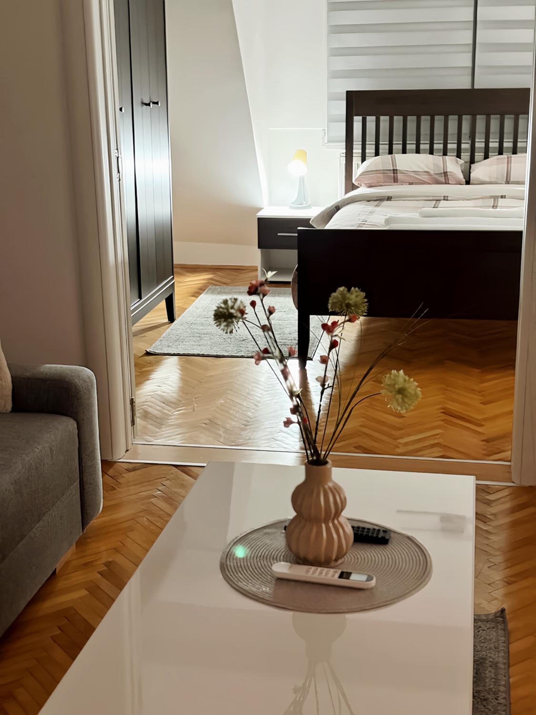 Deluxe One-Bedroom Apartment