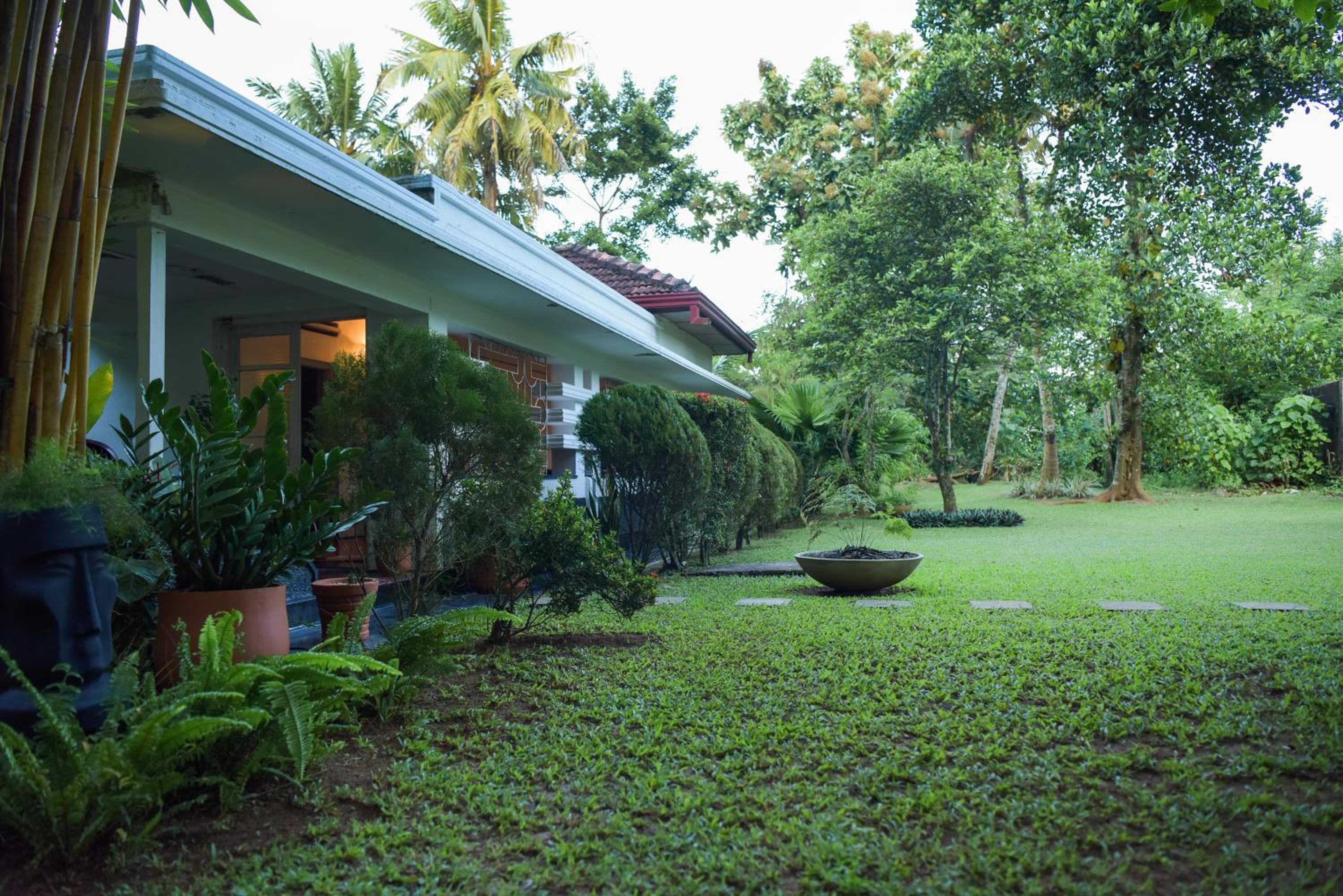 Deluxe Villa photo 2