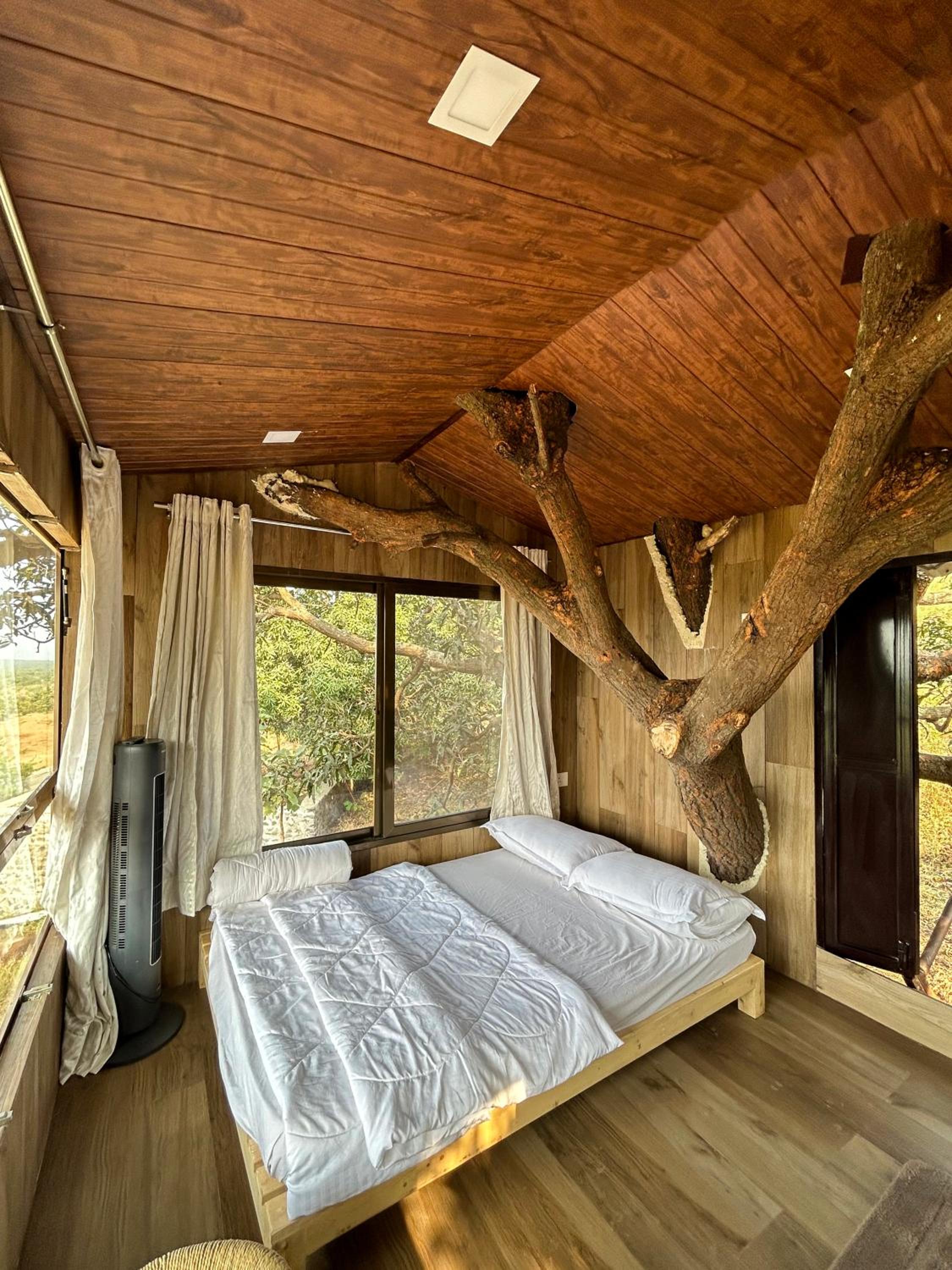 Chalet photo 1