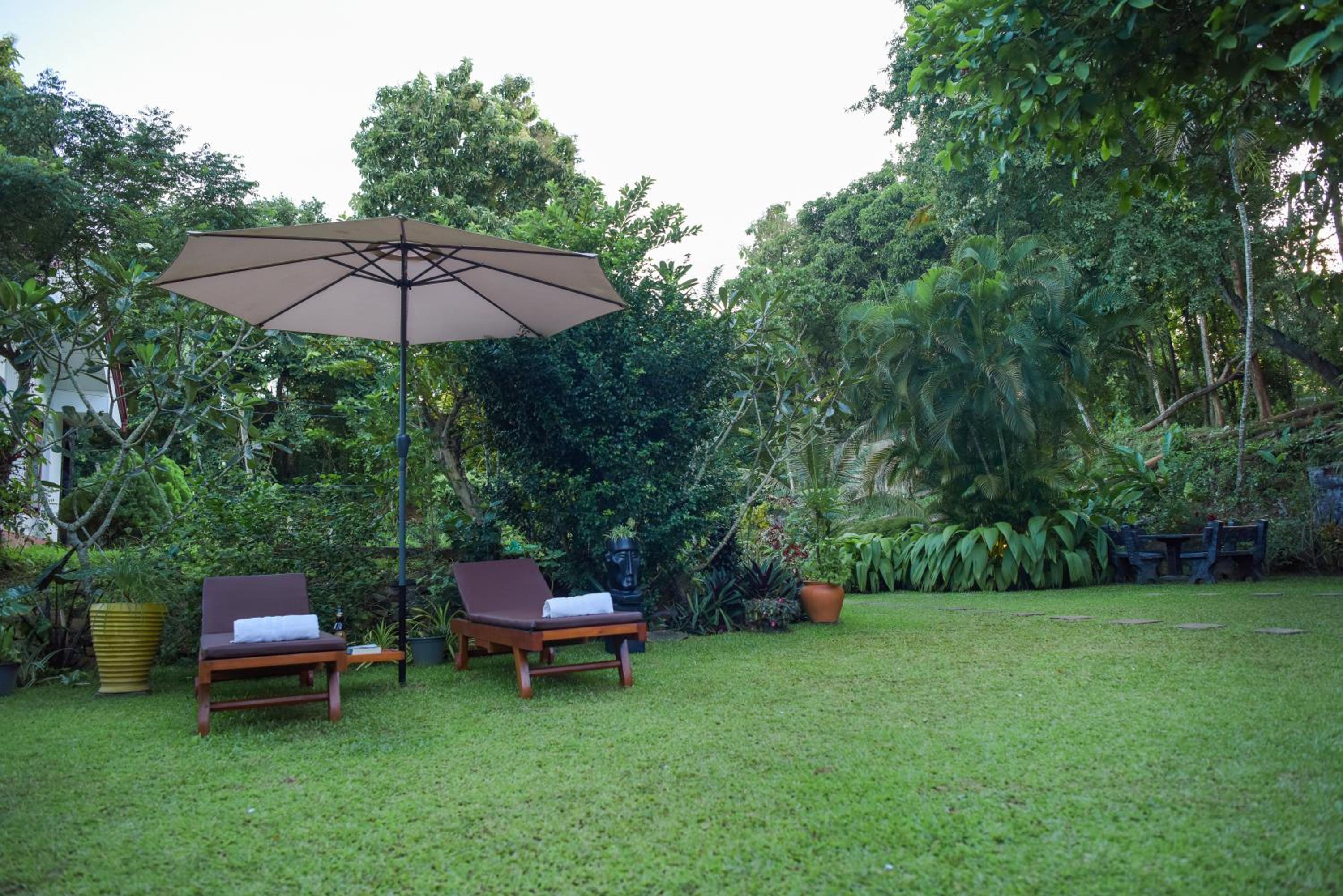 Deluxe Villa photo 3