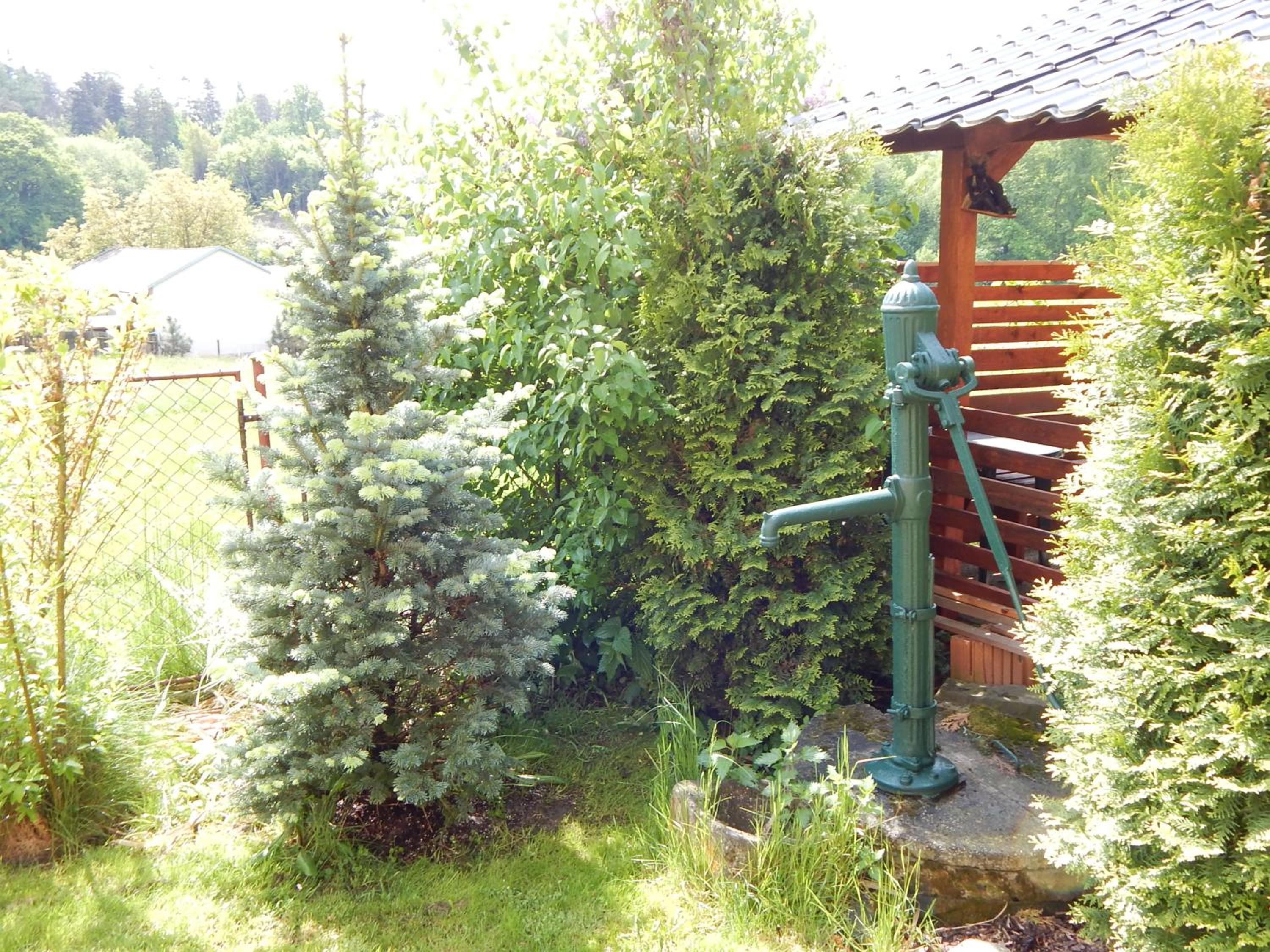 Apartment with Garden View photo 3