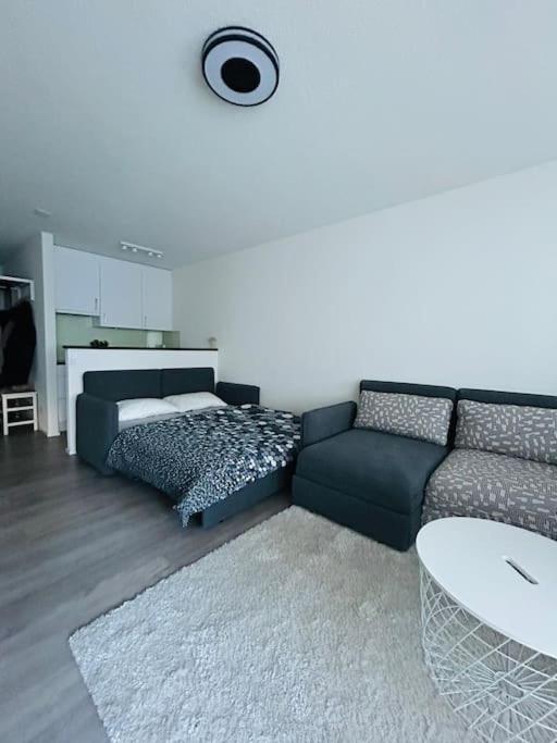 One-Bedroom Apartment photo 2
