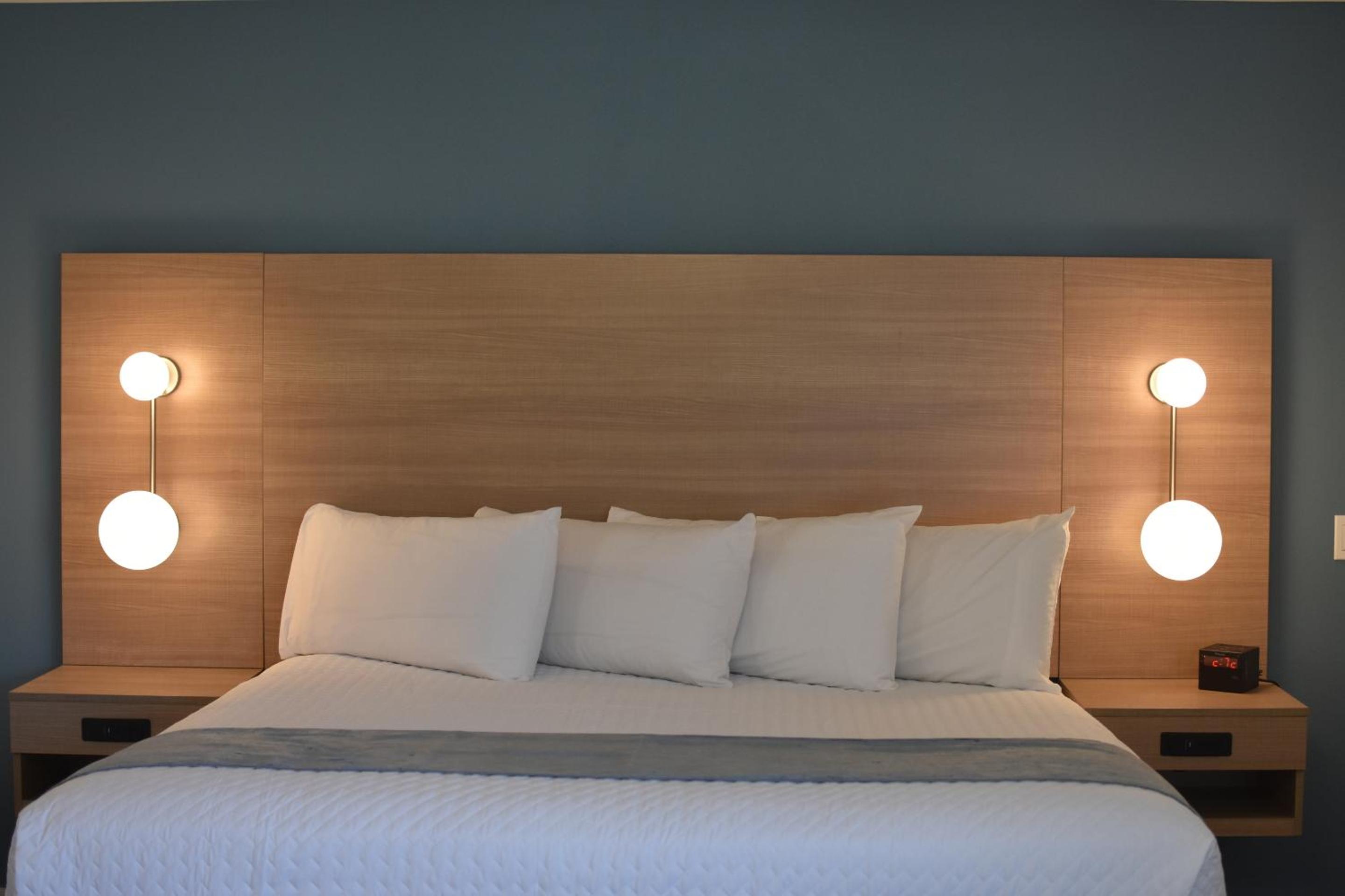 Single Room - Photo 1