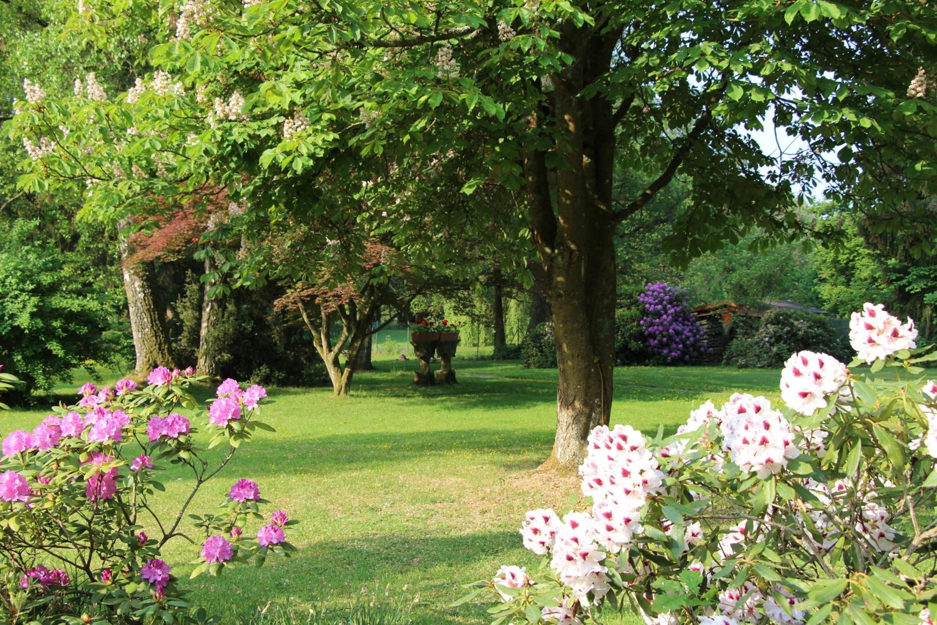 Holiday Home photo 3