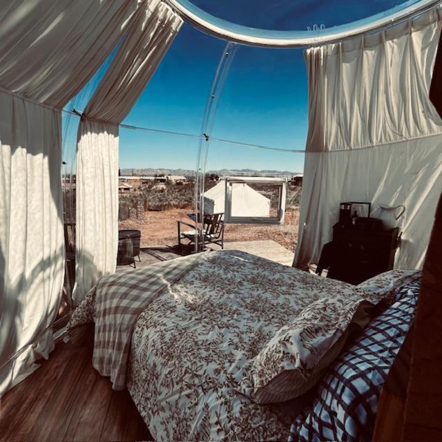 Tent photo 1