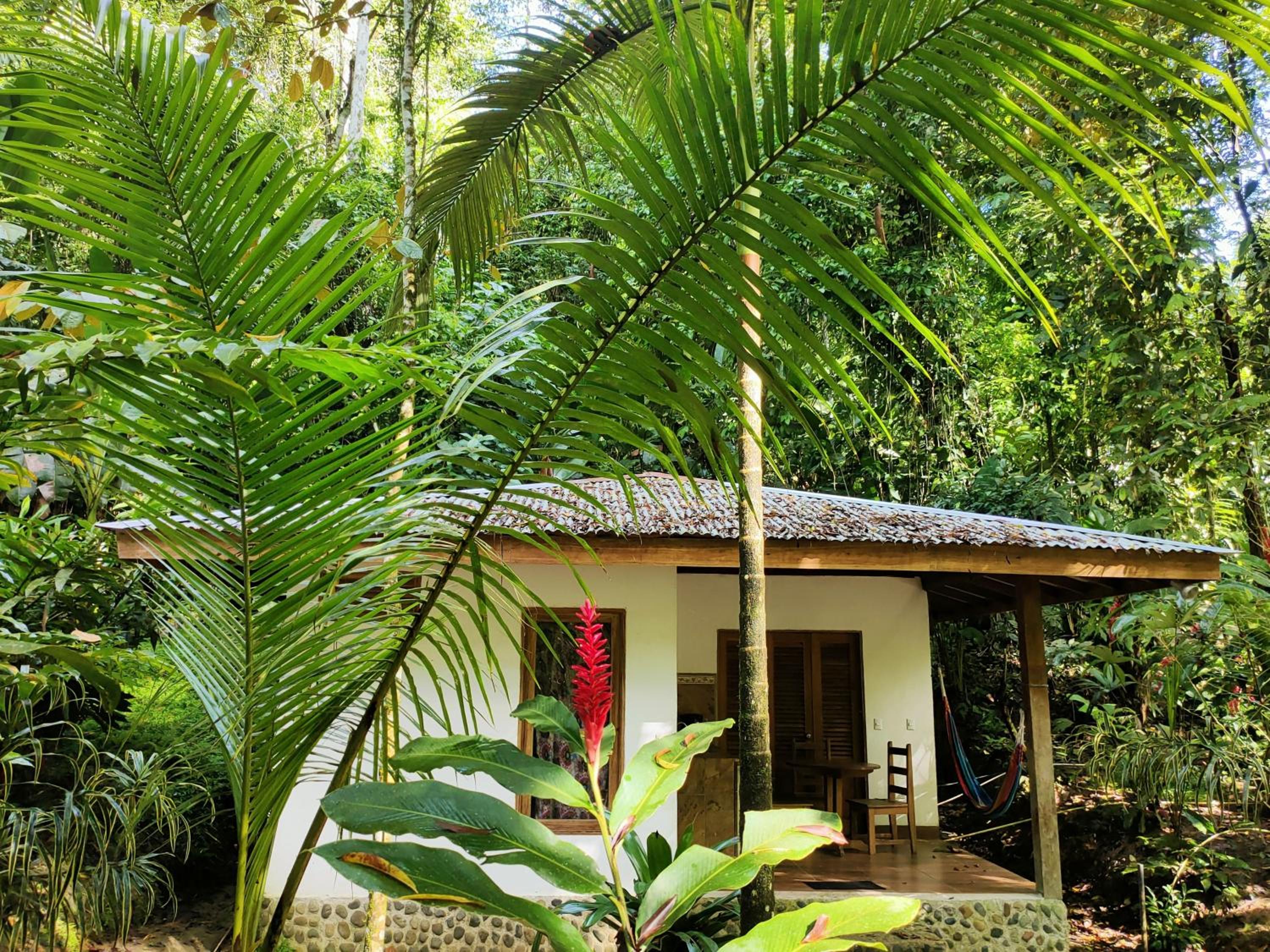 One Bedroom Bungalow (1-4 Adults) photo 2