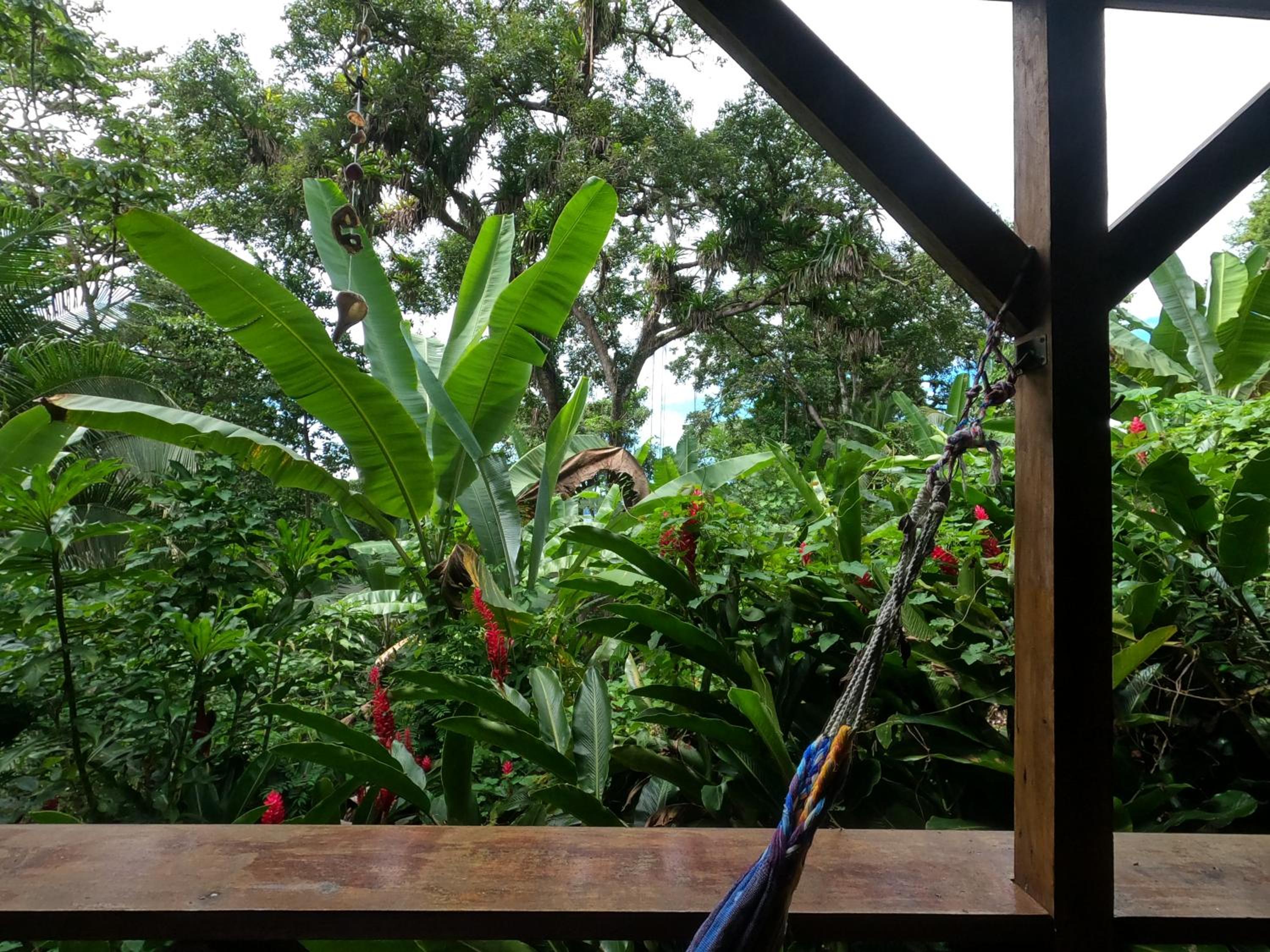 Double Room with Garden View photo 3