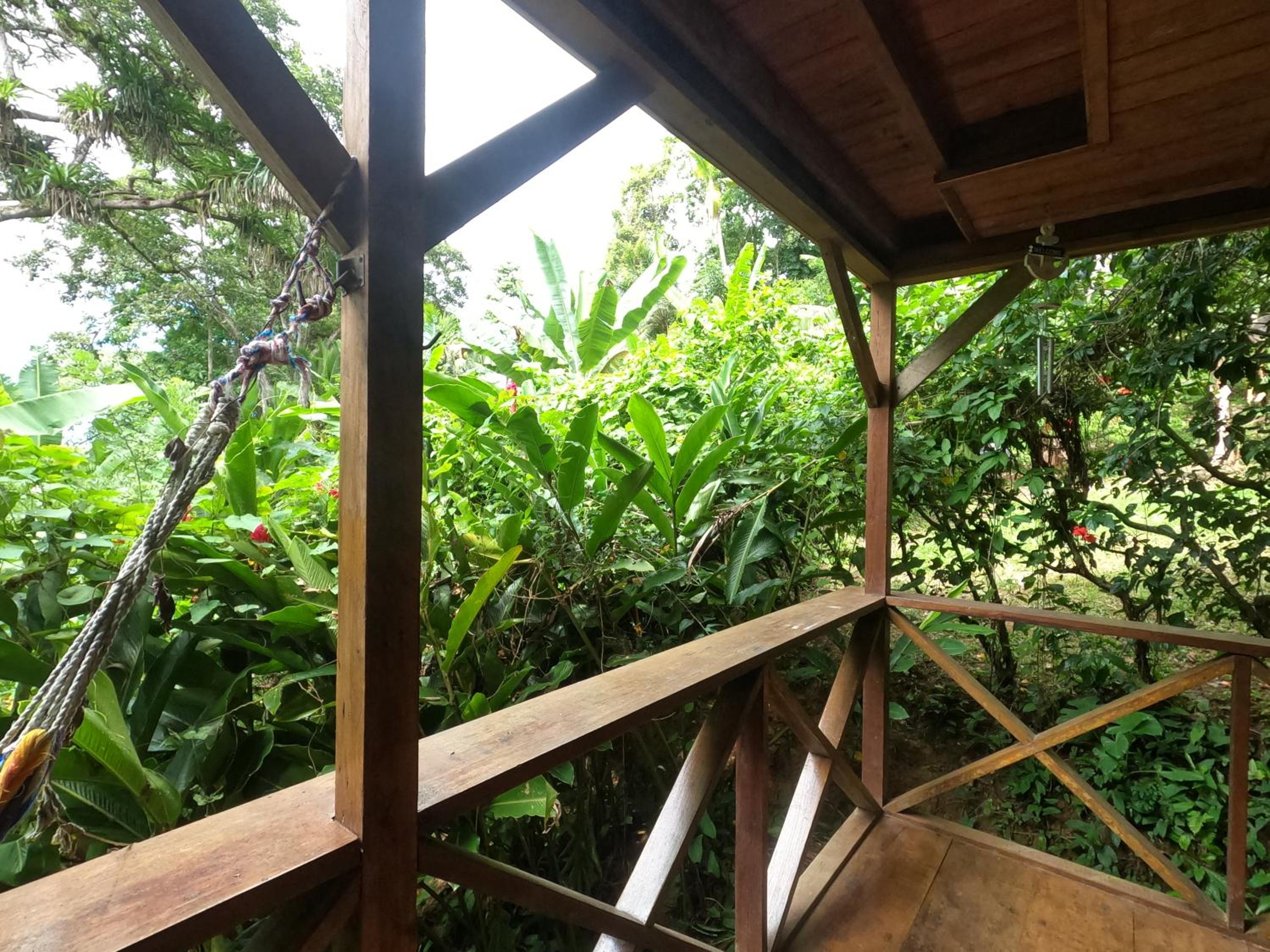 Double Room with Garden View photo 2