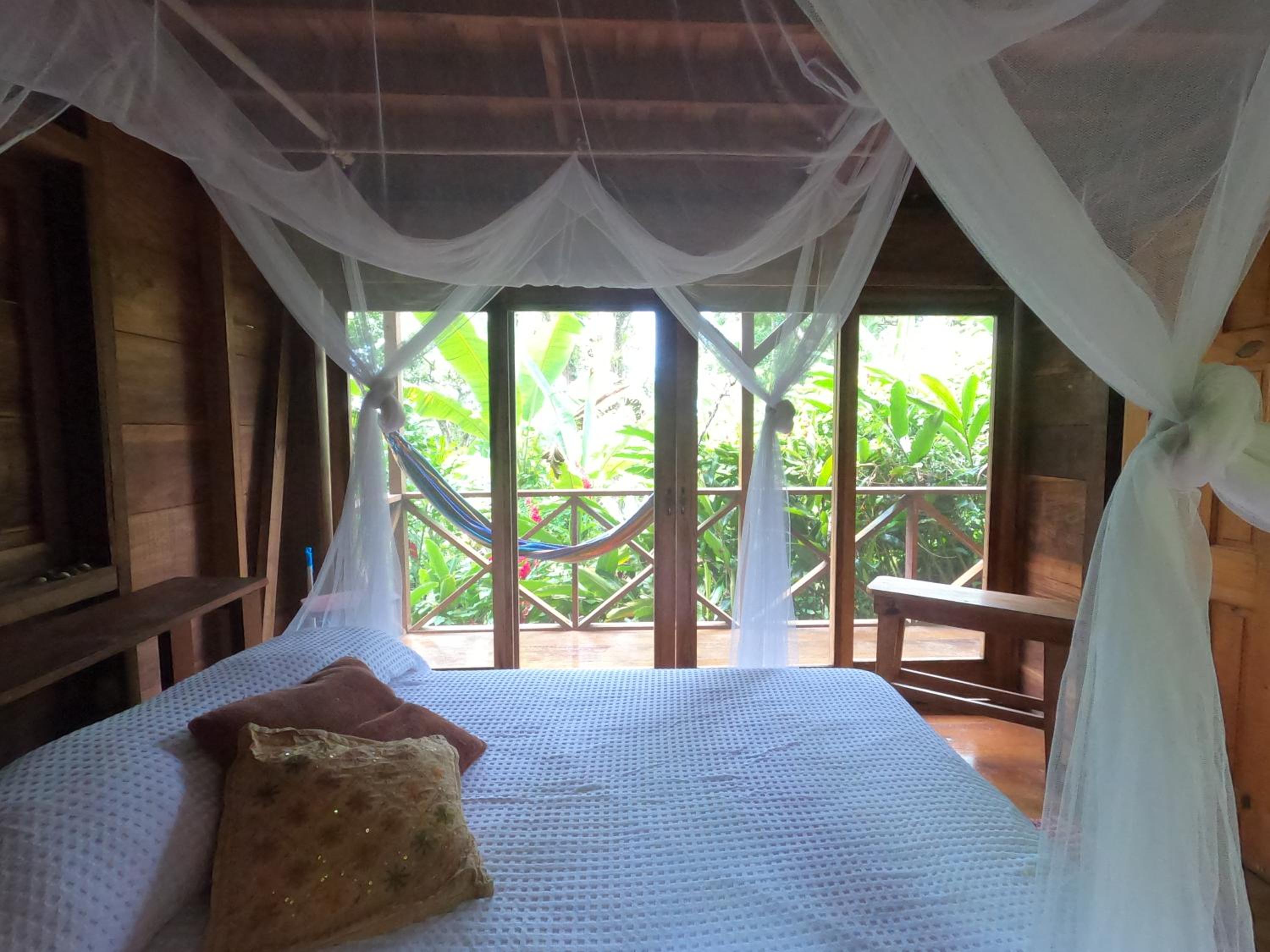 Double Room with Garden View photo 1