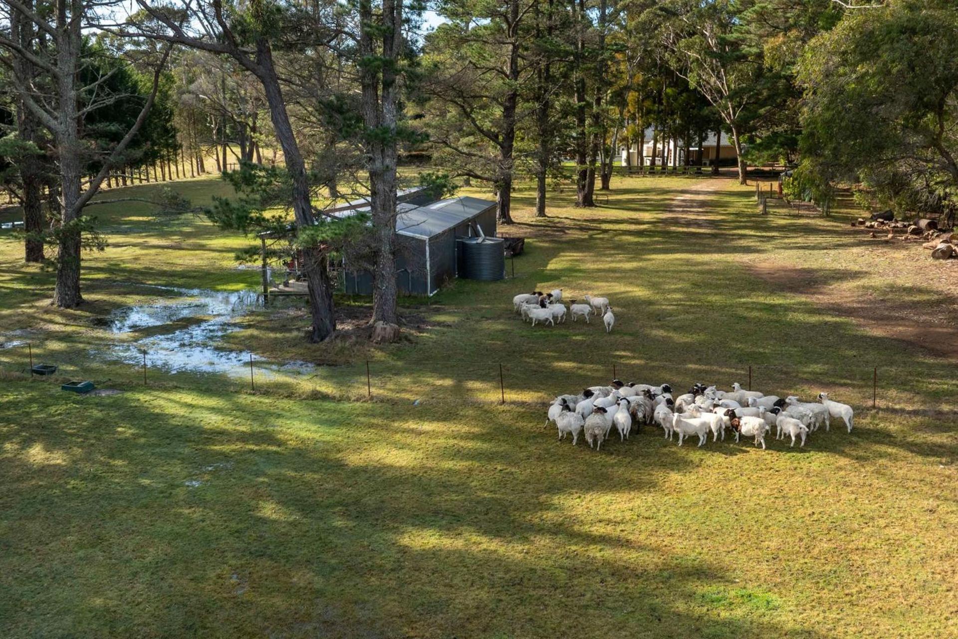 Vacation Home photo 3