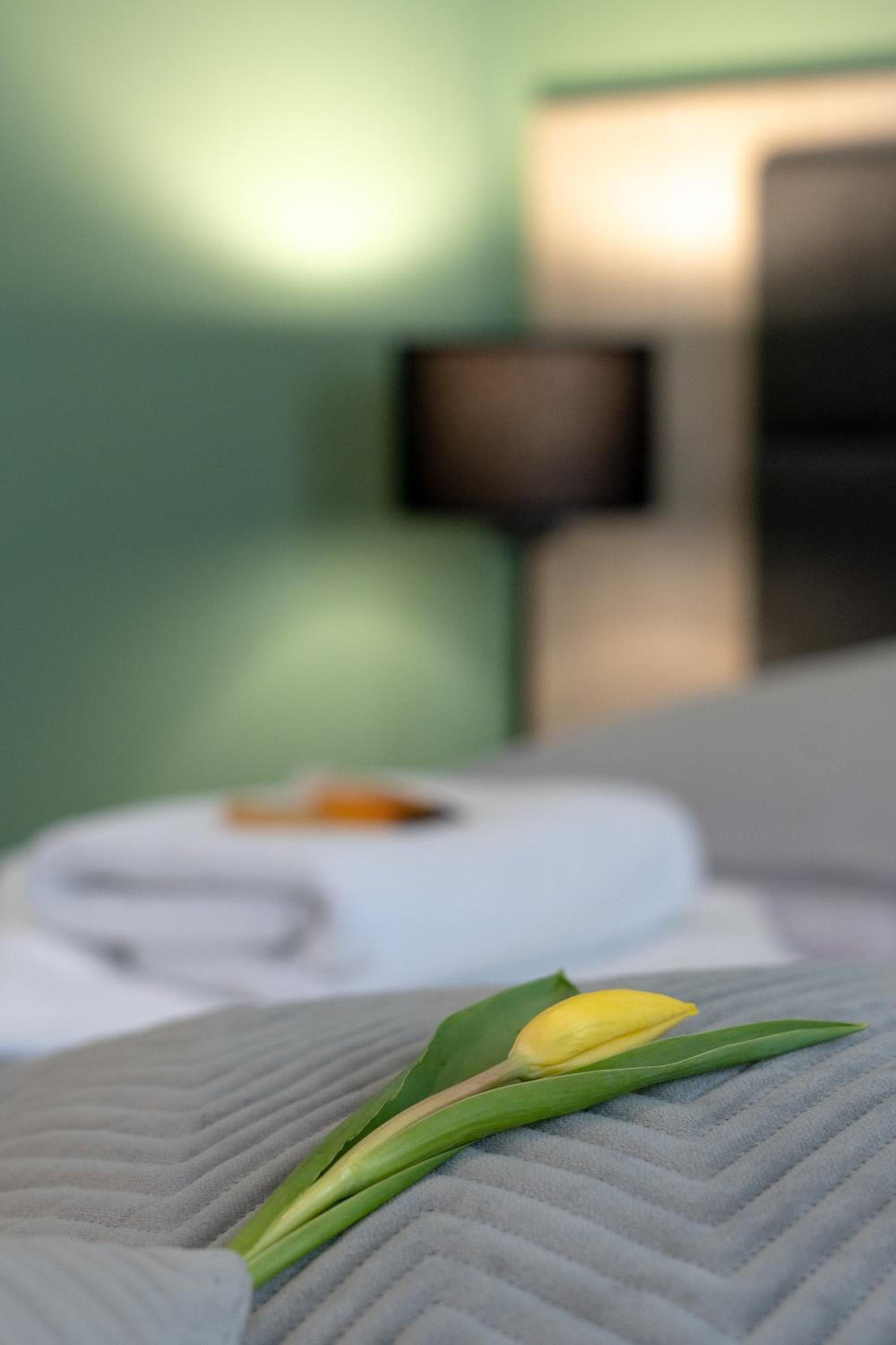 Double Room - Photo 2