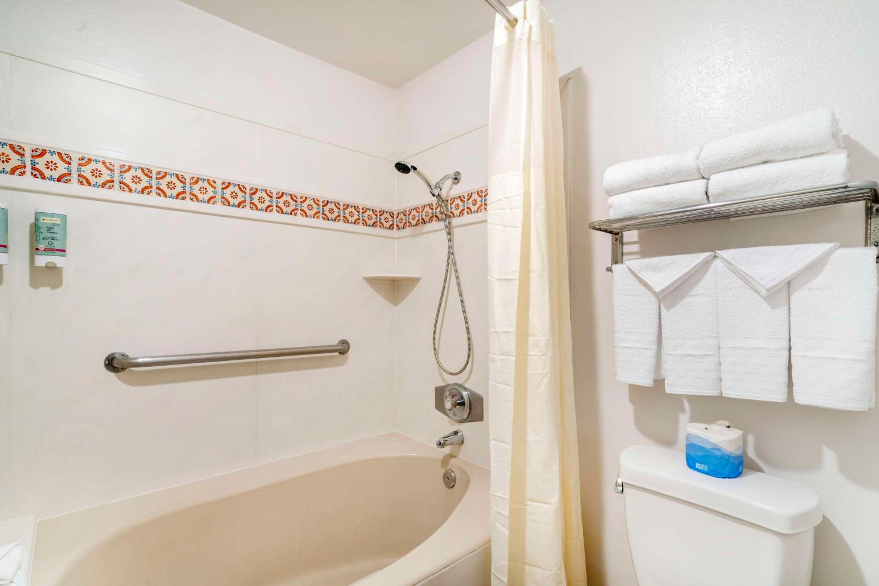 Suite with Walk-In Shower - Disability Access/Non-Smoking - Photo 3