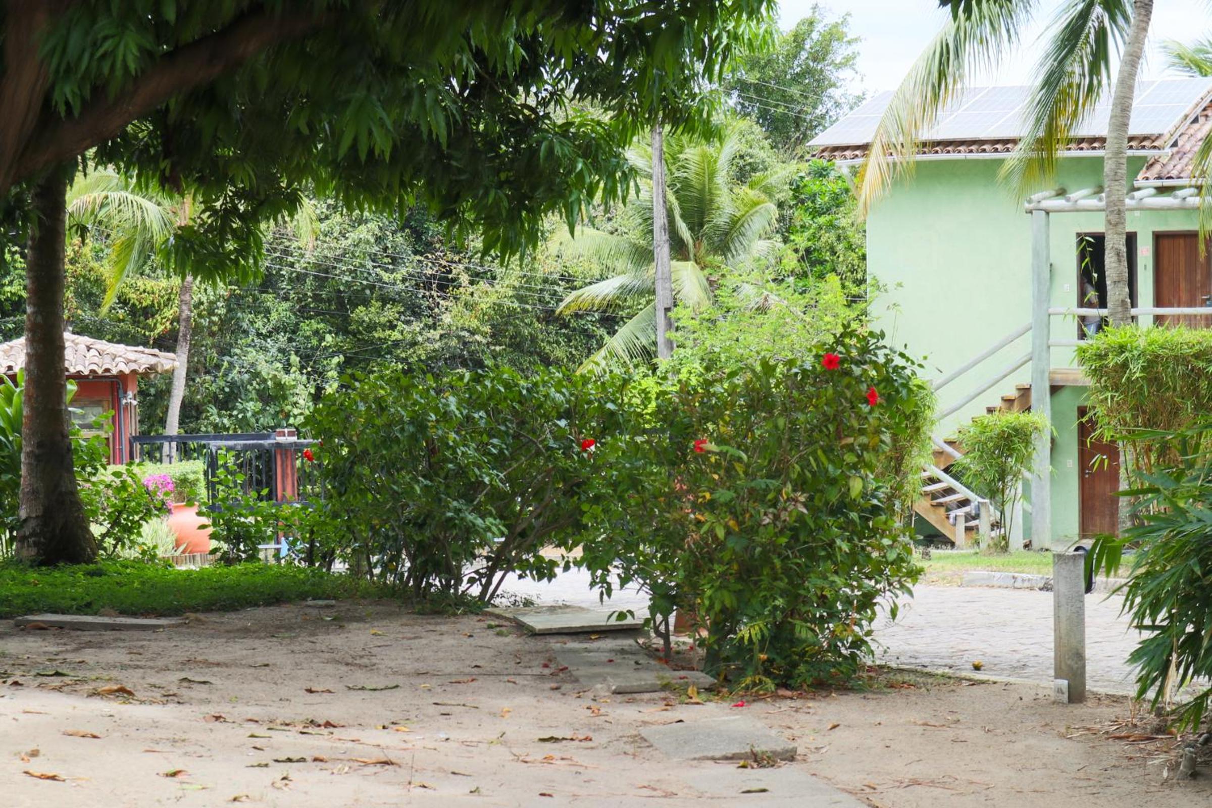 Apartment - Photo 44