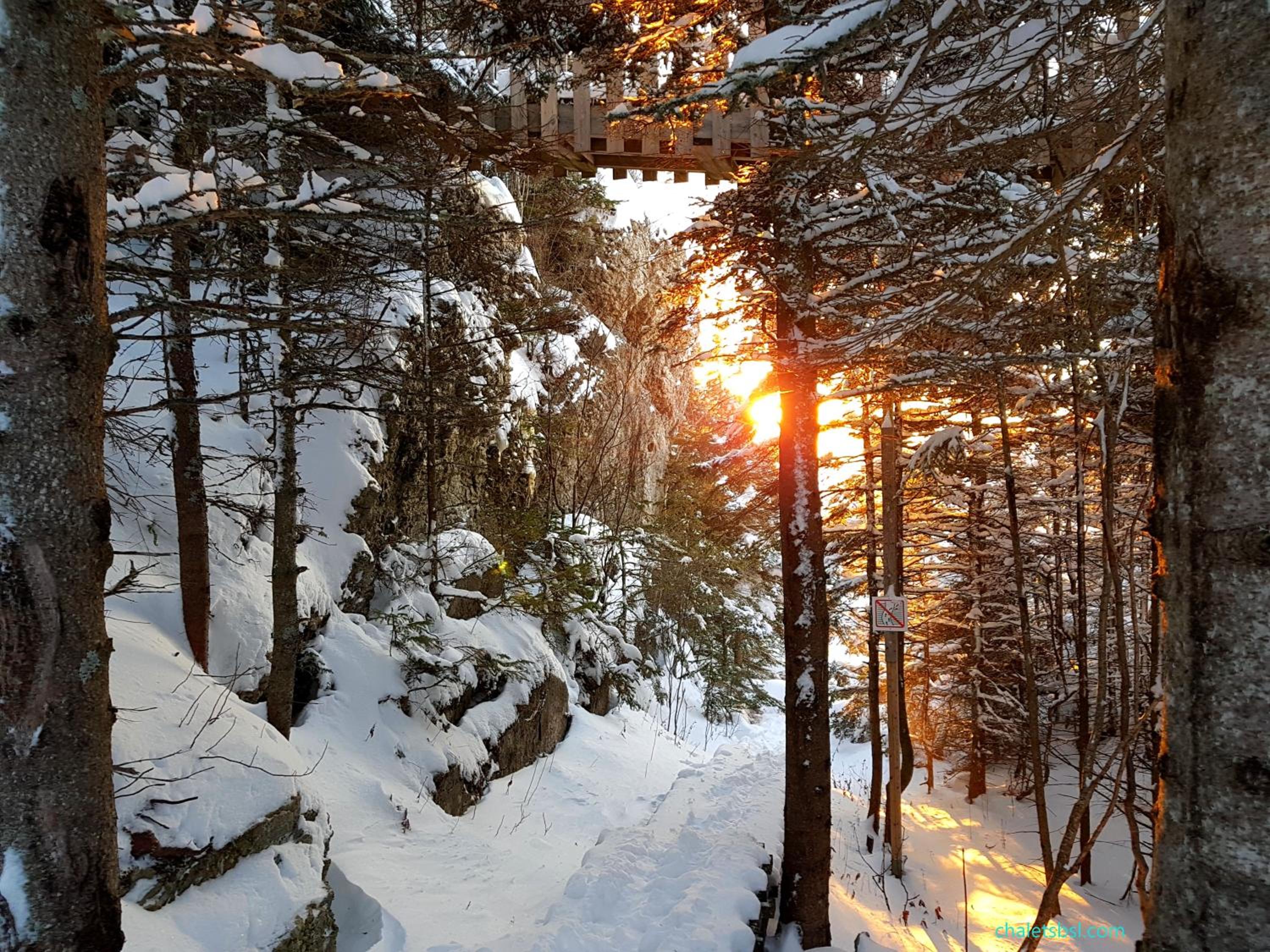 Superior Chalet photo 2