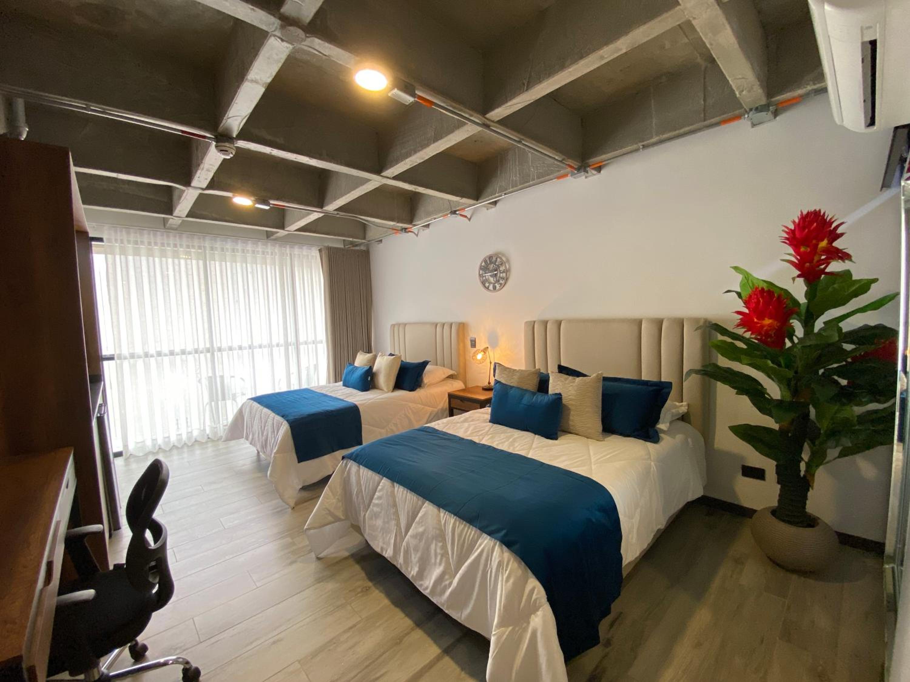 Superior Apartment