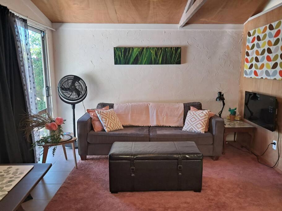Studio Apartment with Queen Bed photo 1