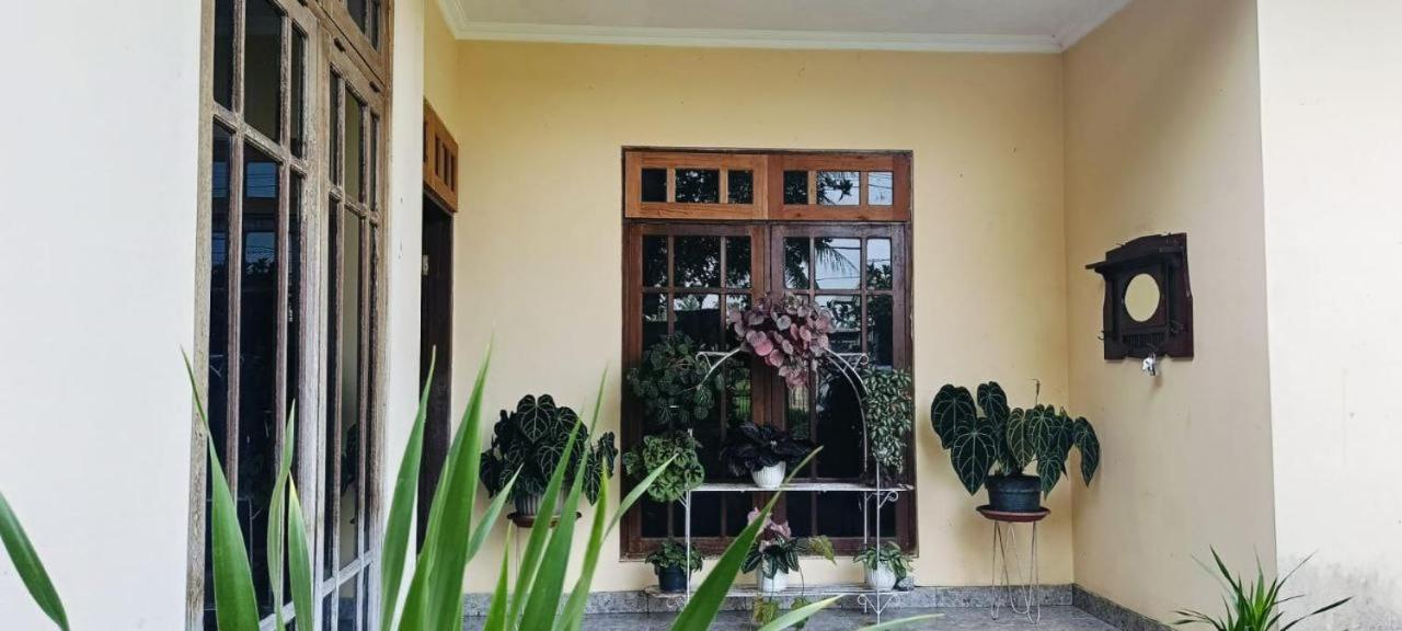 Three-Bedroom Villa photo 2
