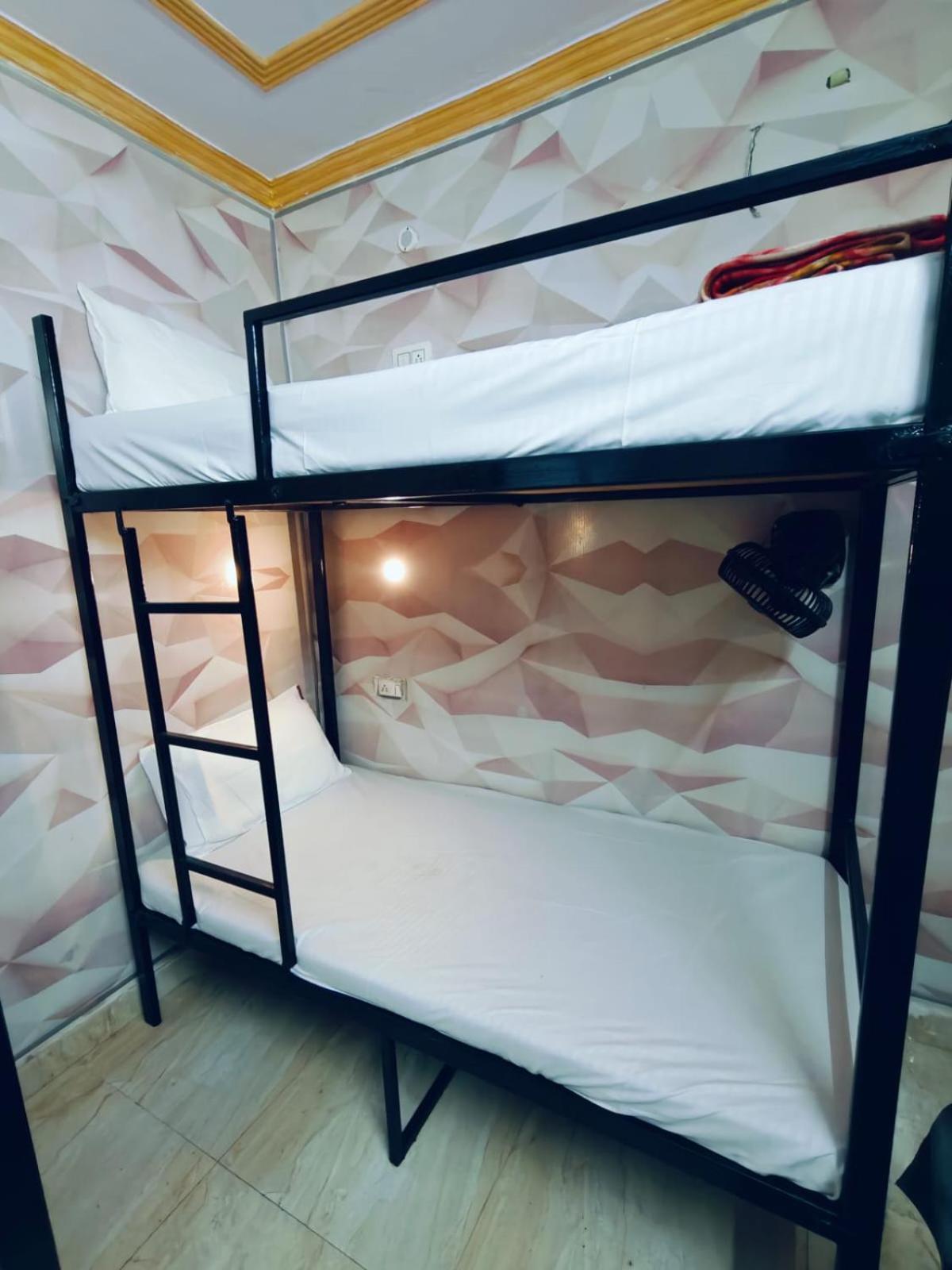 Bunk Bed in Mixed Dormitory Room photo 3