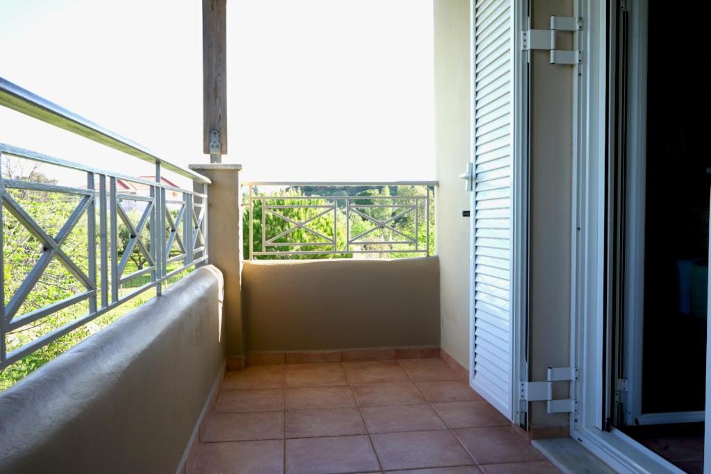 One-Bedroom Apartment photo 3