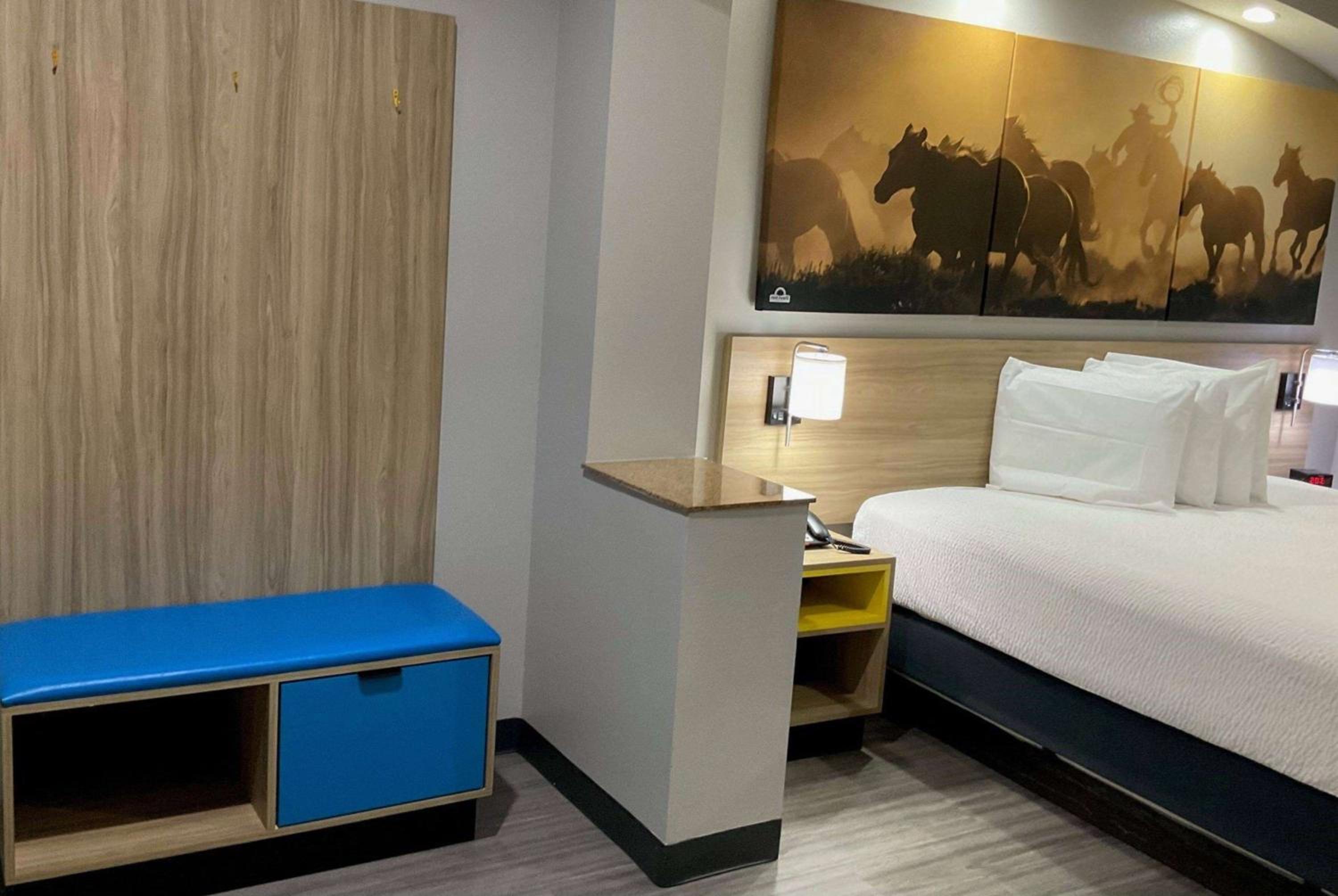 1 King Bed, Mobility/Hearing Accessible Suite, Roll-in Shower, Non-Smoking photo 1