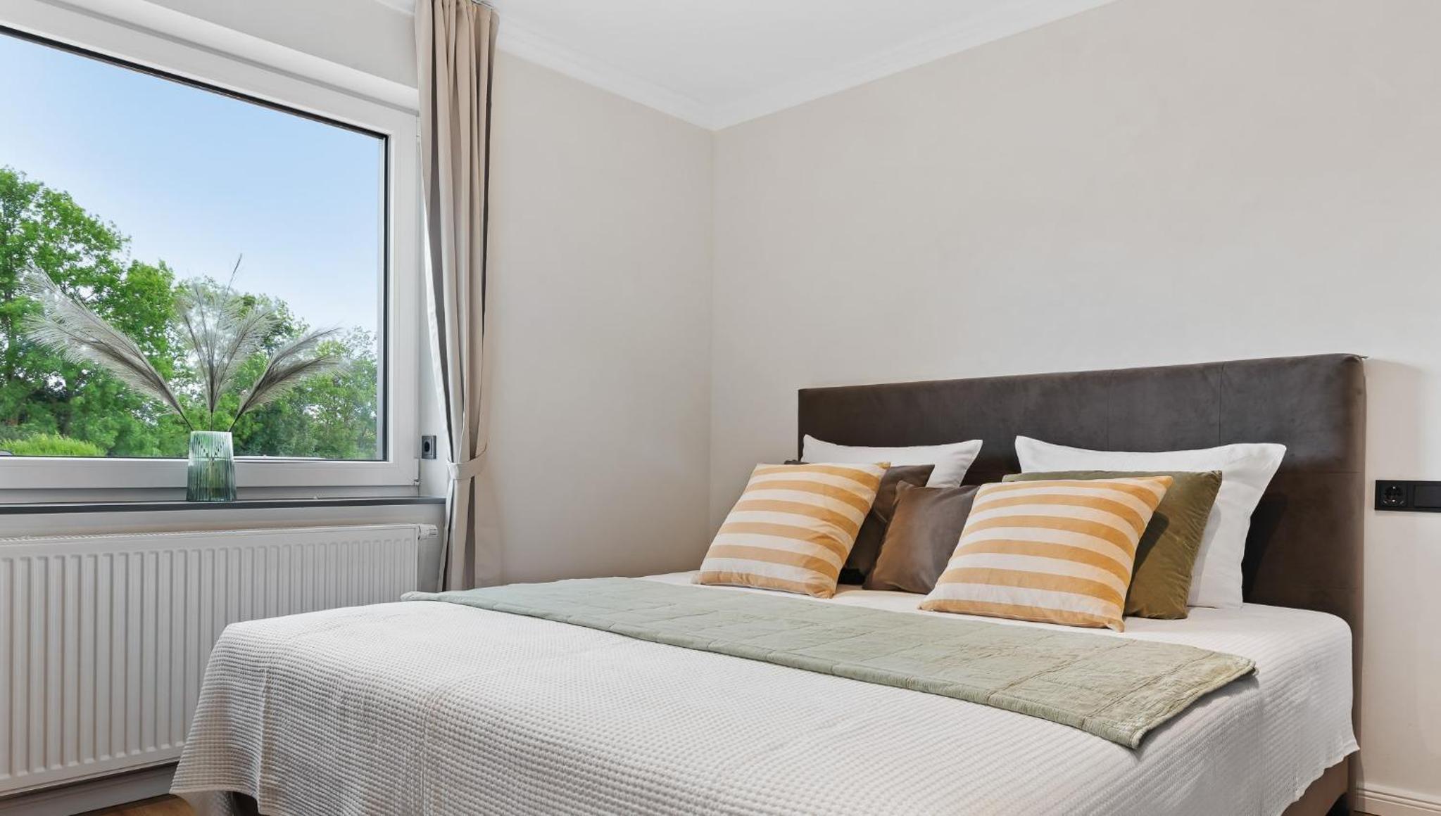 Apartment with Terrace photo 3