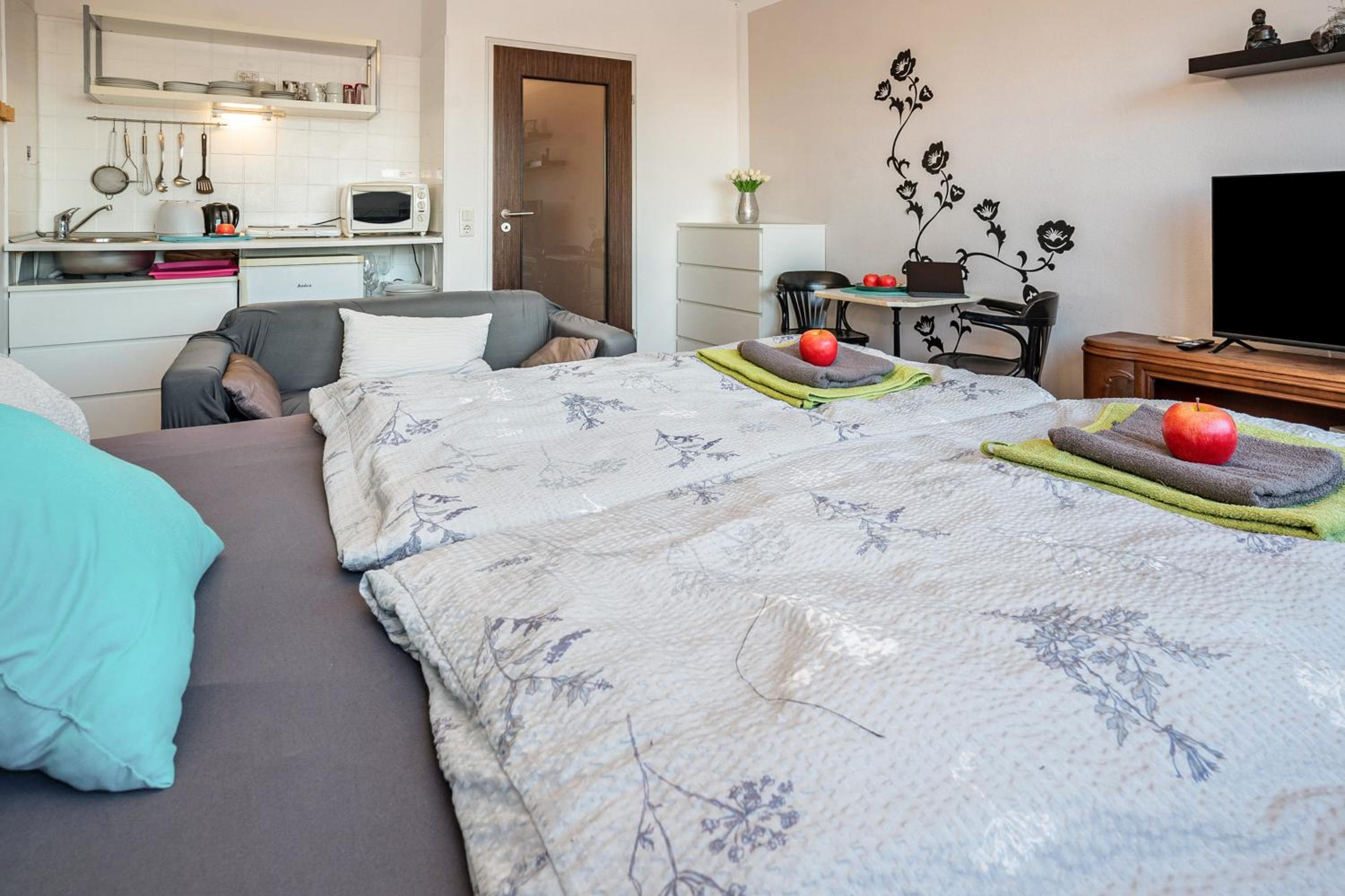Superior One-Bedroom Apartment photo 3