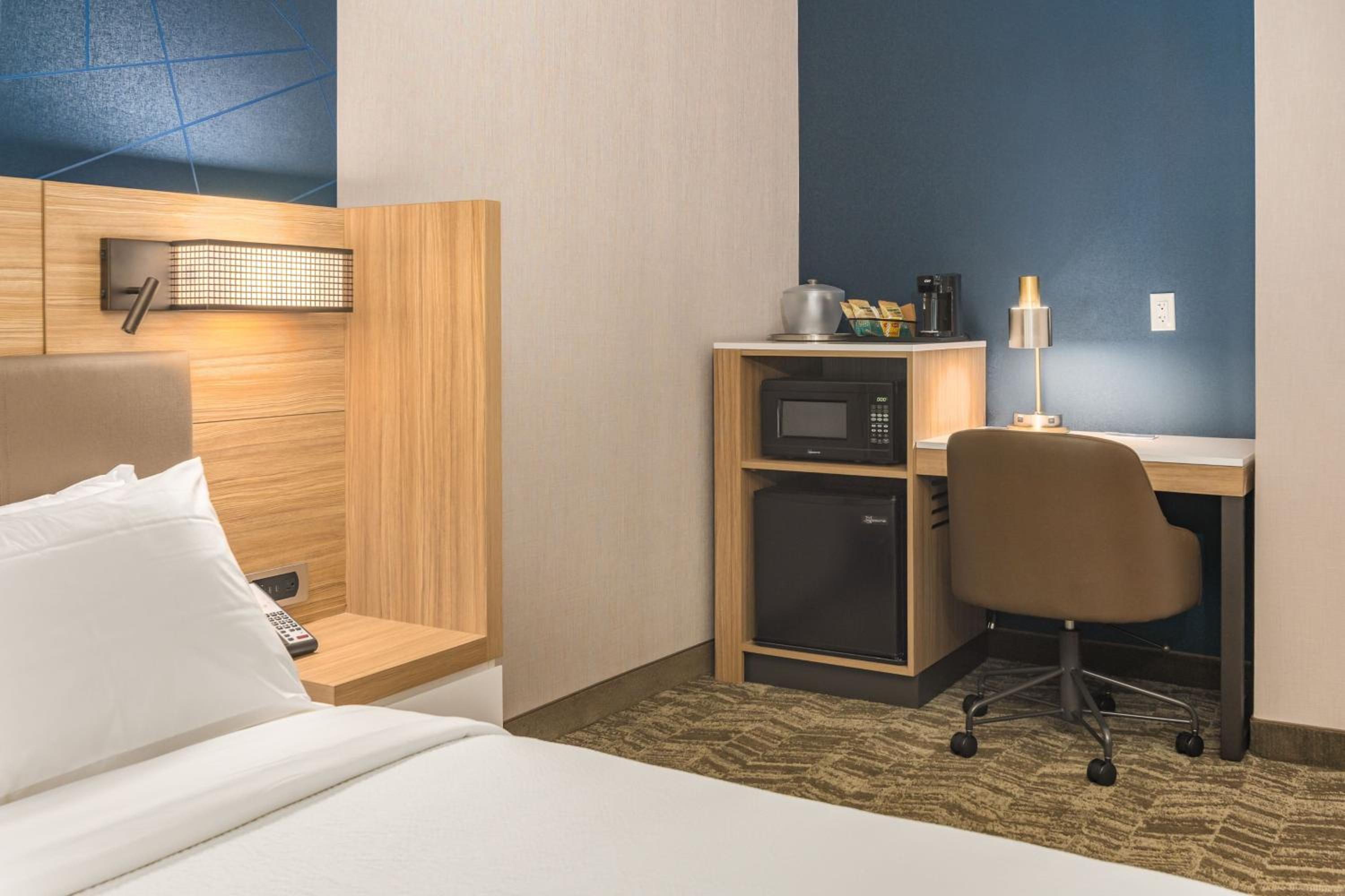 King Studio with Roll-in Shower - Mobility and Hearing Accessible