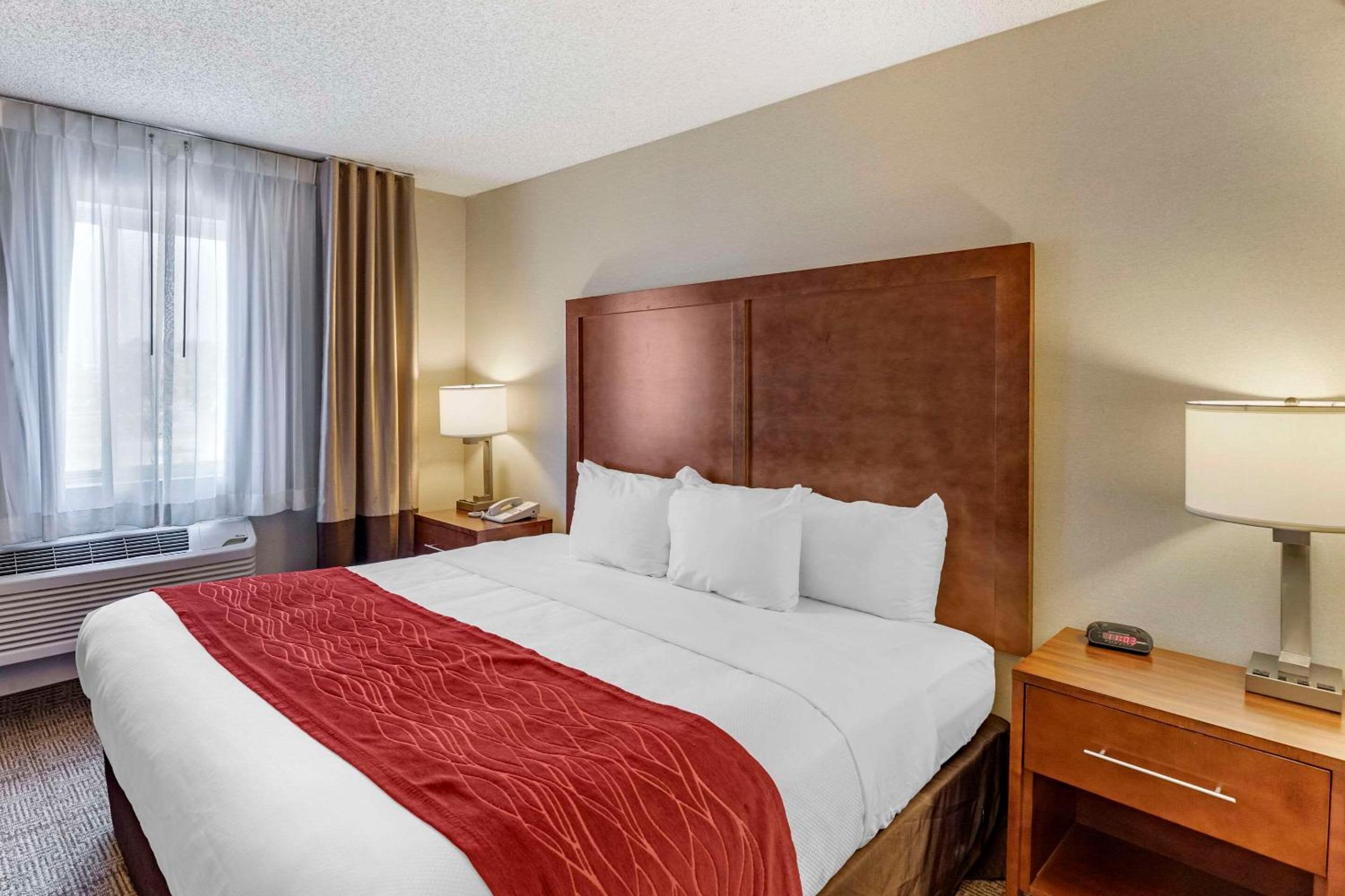 King Room - Non-Smoking - Photo 1