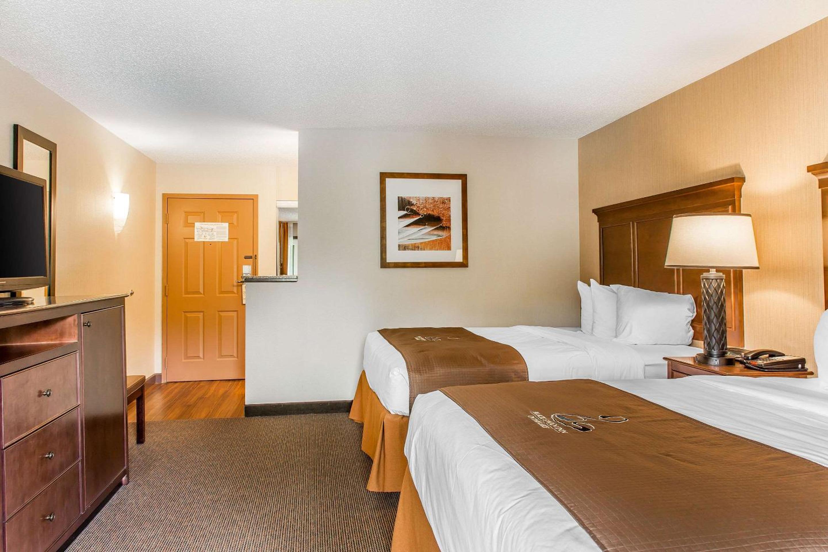 Deluxe Queen Room with Queen Bed and Lake View - Photo 6