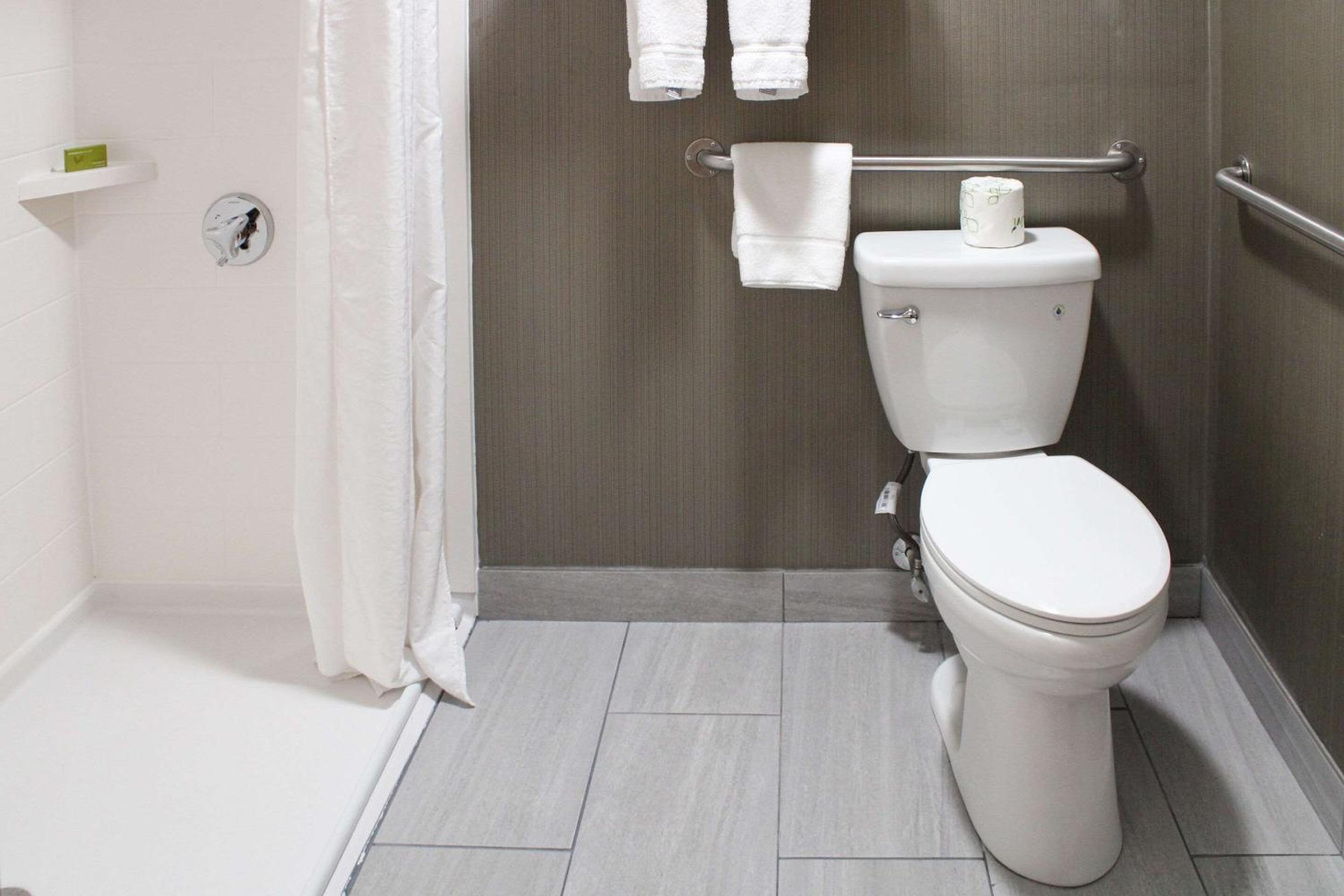 King Room with Roll-In Shower - Accessible/Non-Smoking