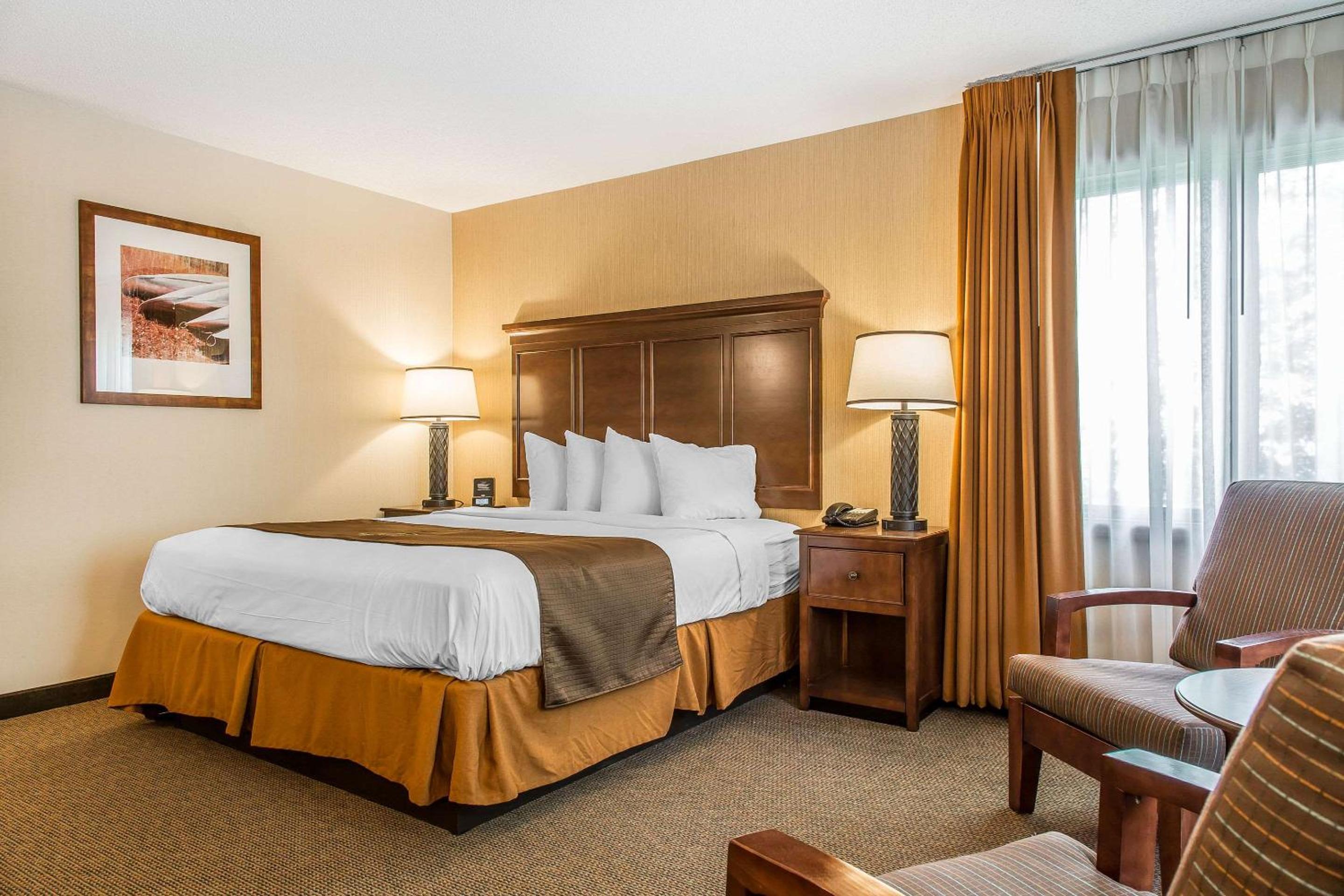 Superior Room with King Bed - Photo 2