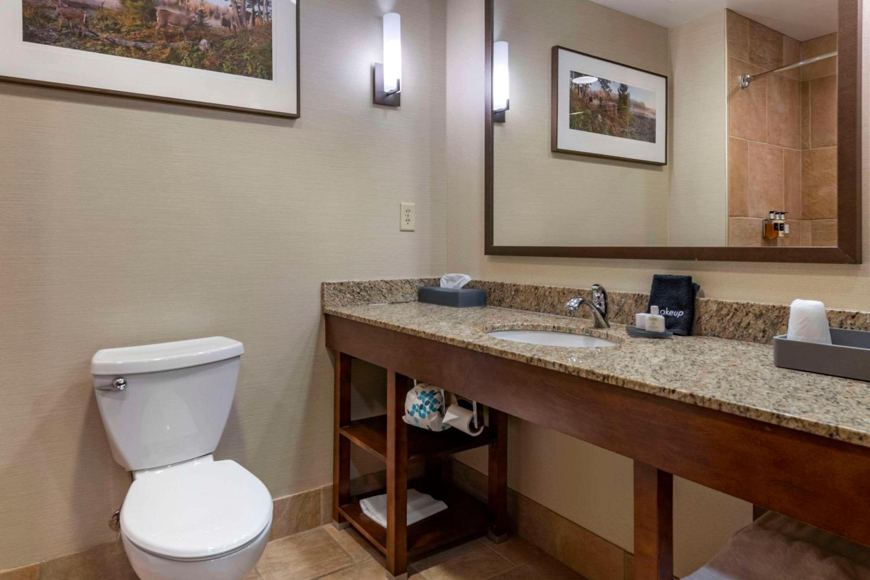King Suite with Sofa Bed and Balcony - Lake View - Photo 6