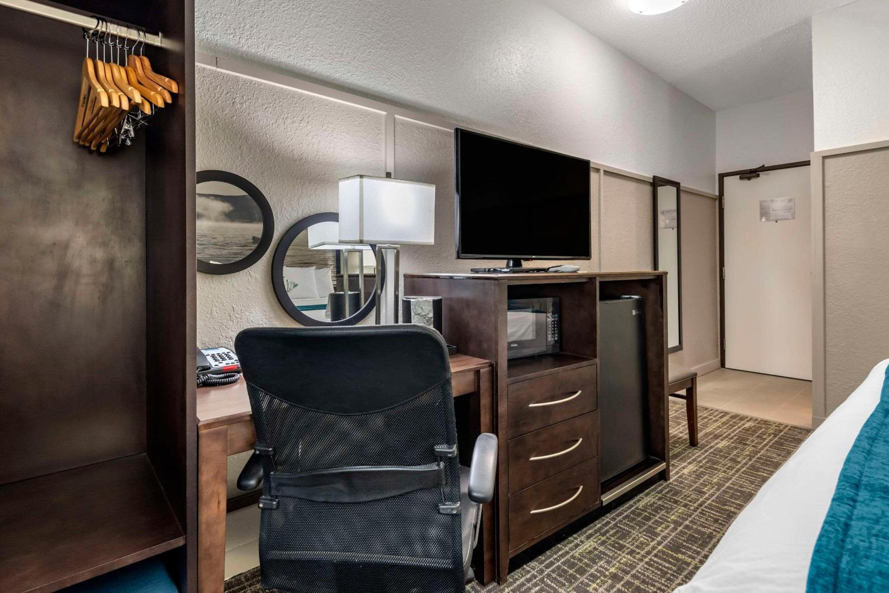 King Room - Non-Smoking - Photo 10