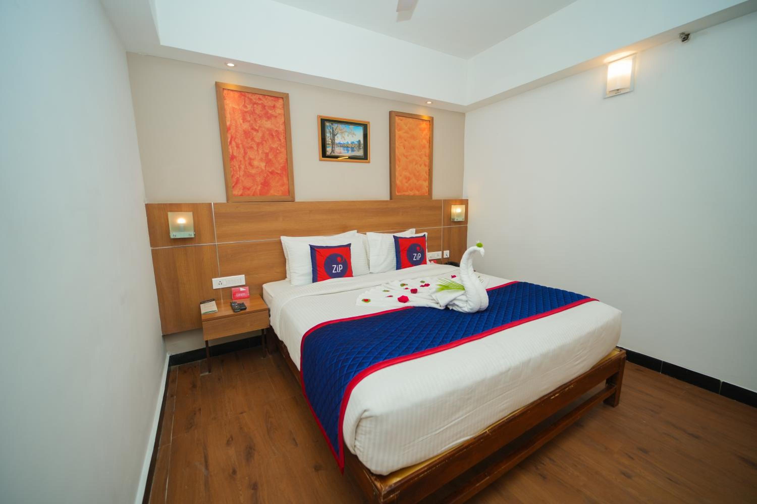 Suite - Photo 1