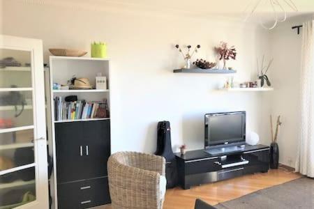 One-Bedroom Apartment photo 3