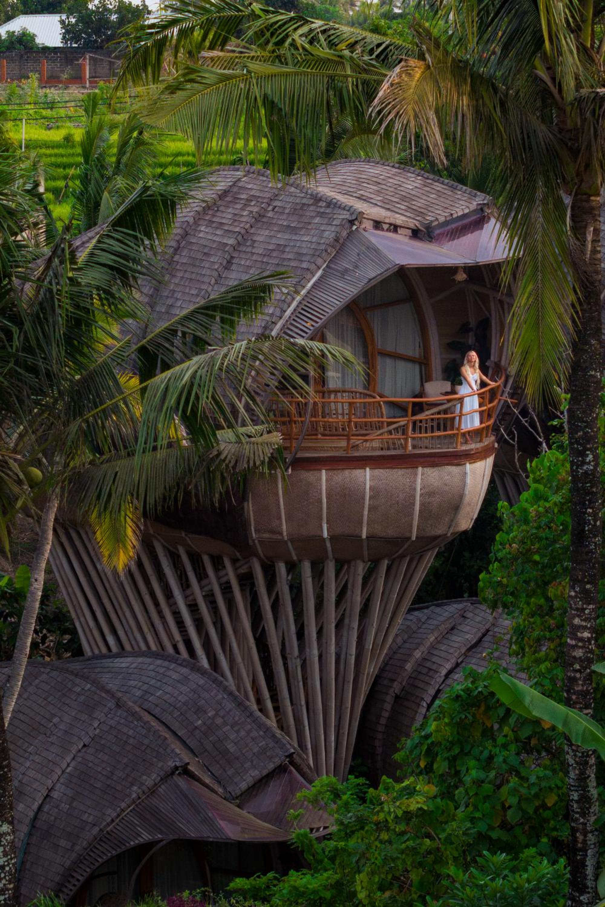 Avatar Treehouse photo 3