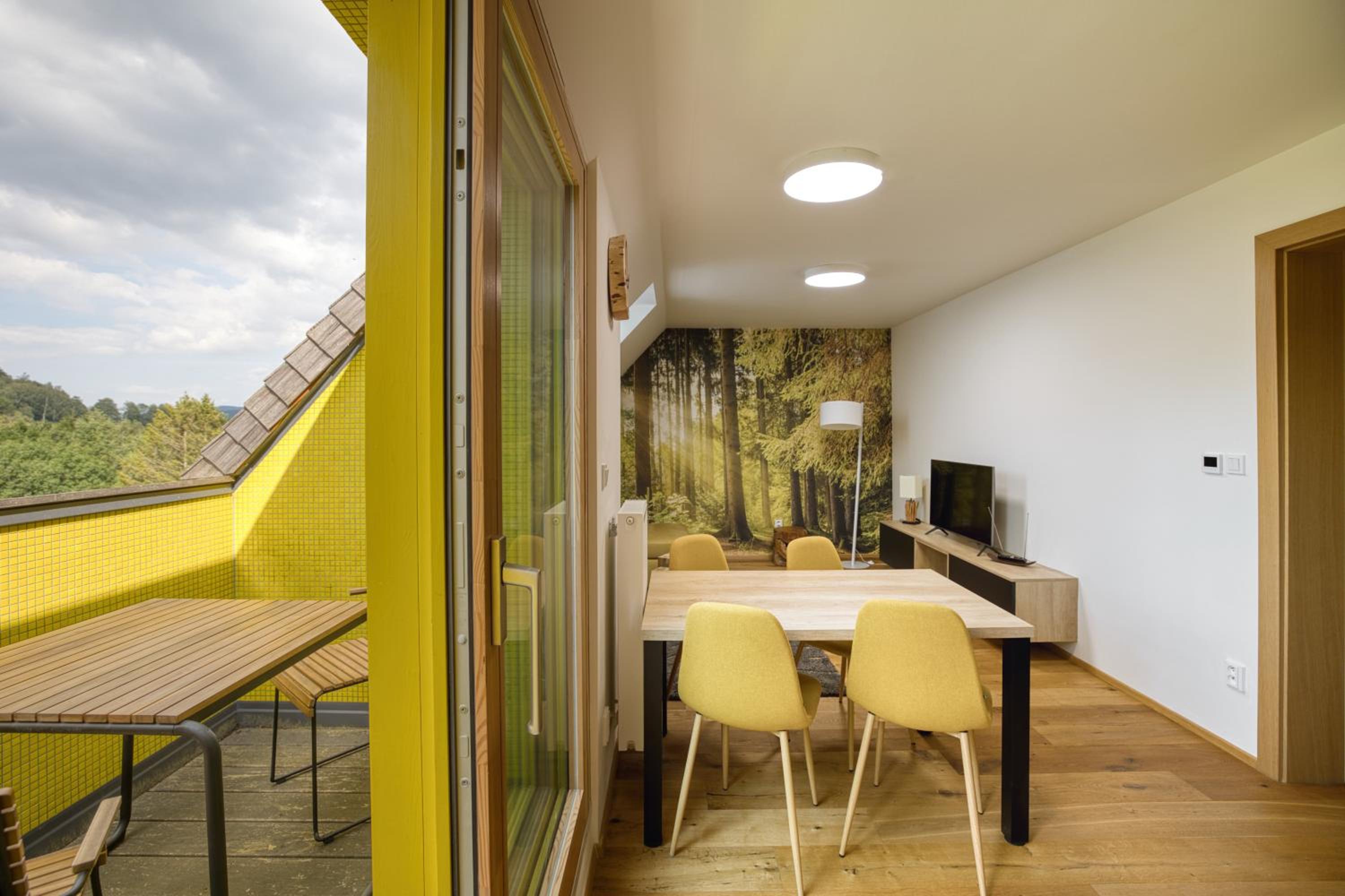 One-Bedroom Apartment with Balcony and Mountain View