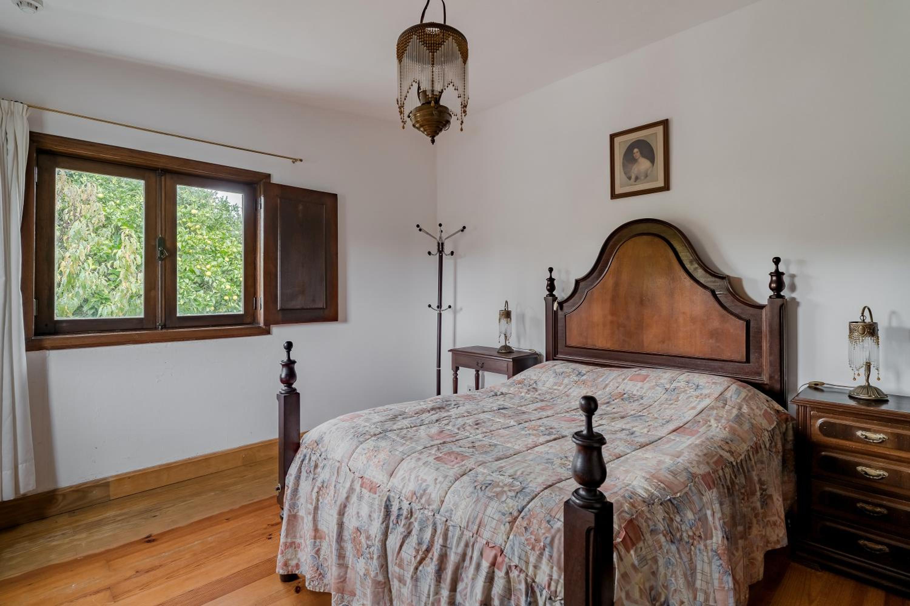 Standard Queen Room photo 1