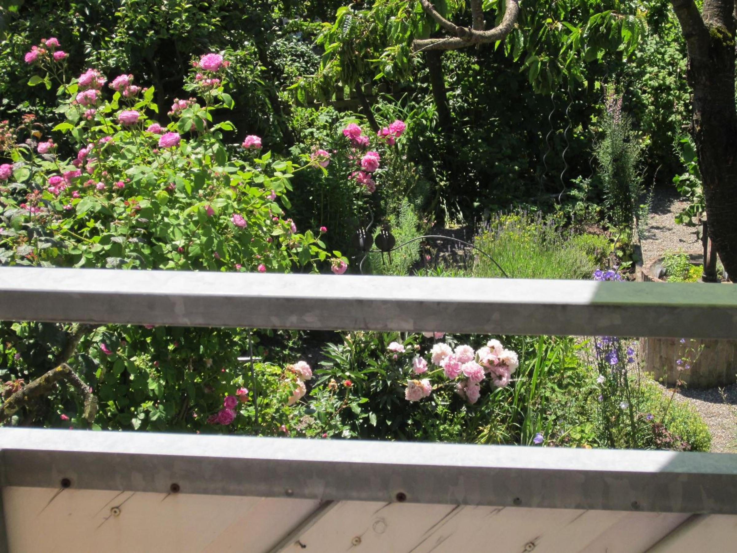 Superior One-Bedroom Apartment with Balcony photo 2