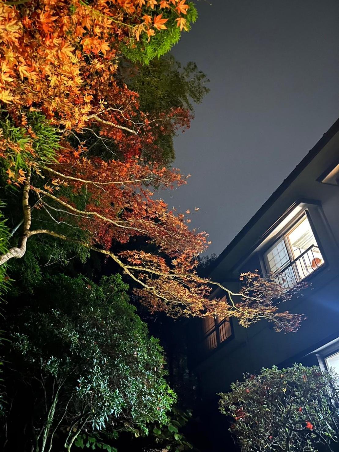 Japanese-Style Standard Twin Room - Photo 20