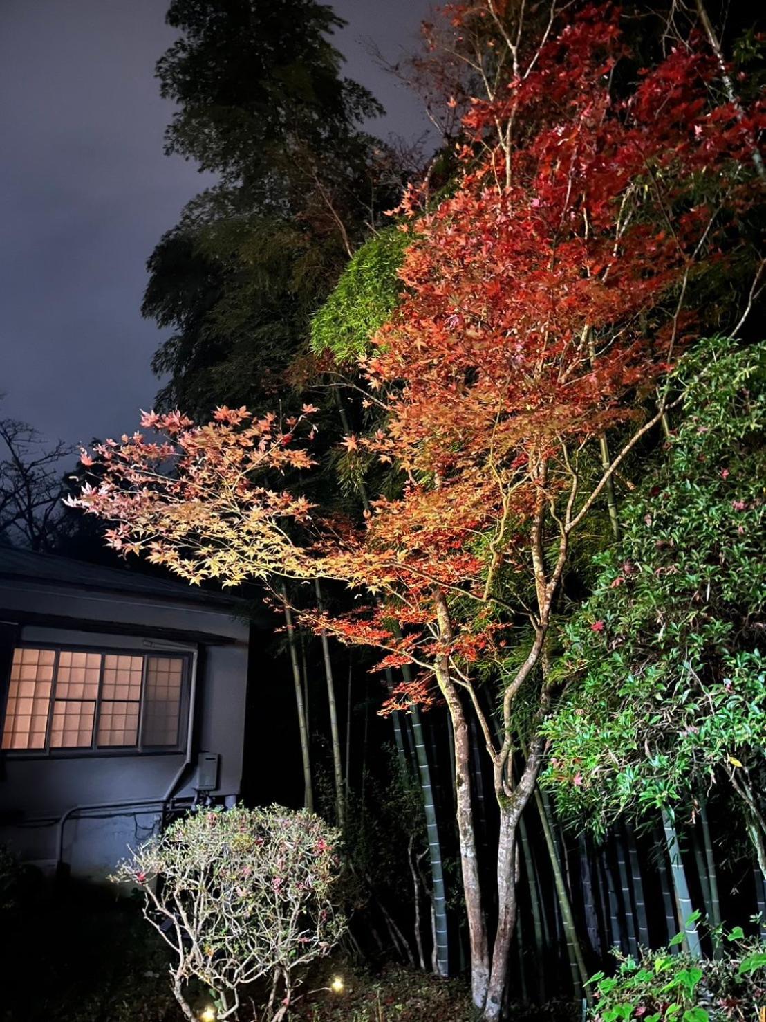 Japanese-Style Standard Twin Room - Photo 18