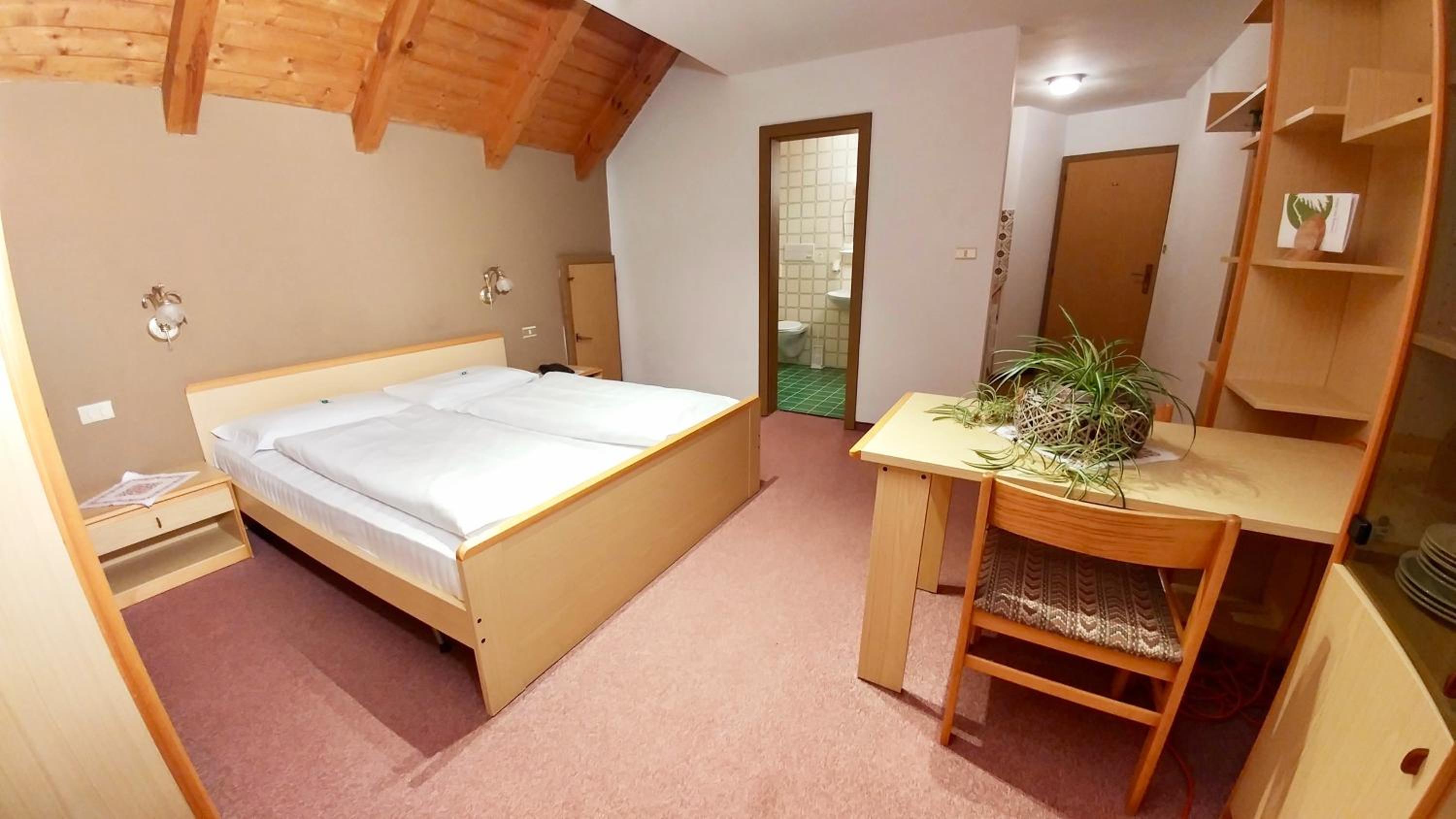 Studio with Closed Terrace (2 Adults) photo 3