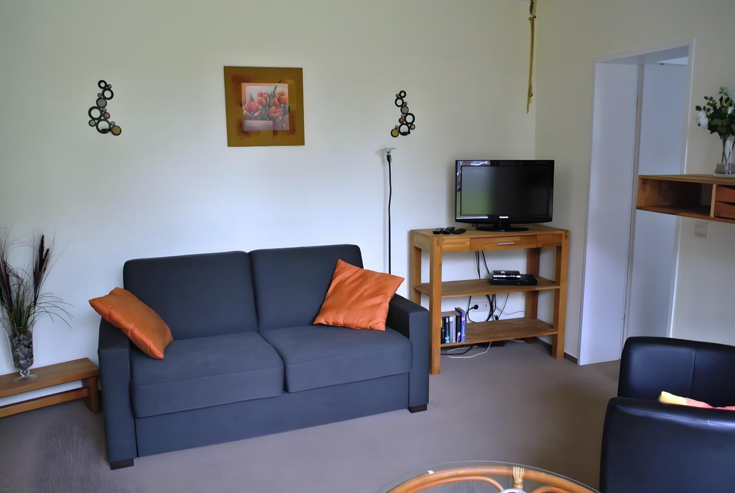 Superior One-Bedroom Apartment photo 2