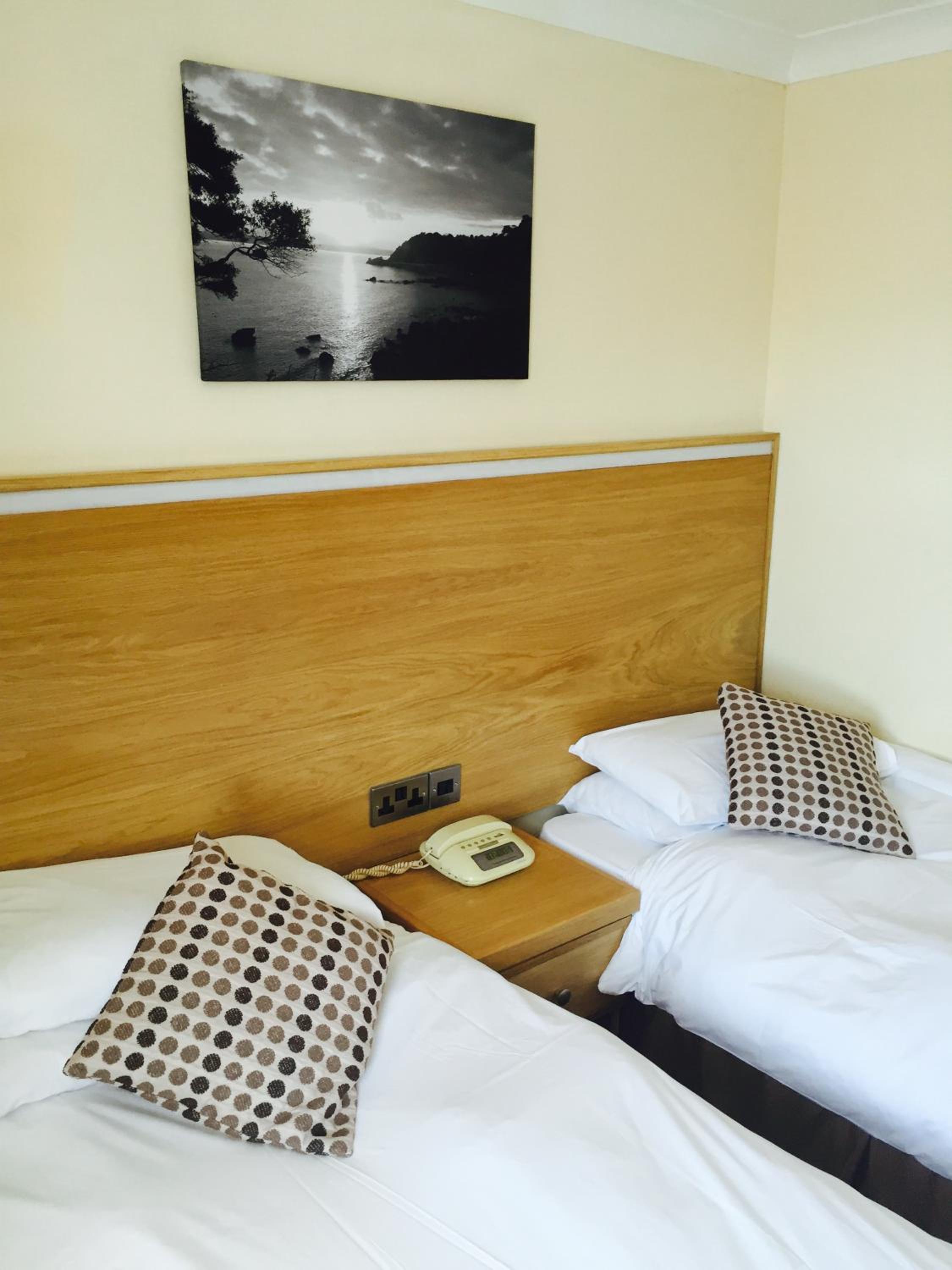 Basic Twin Room