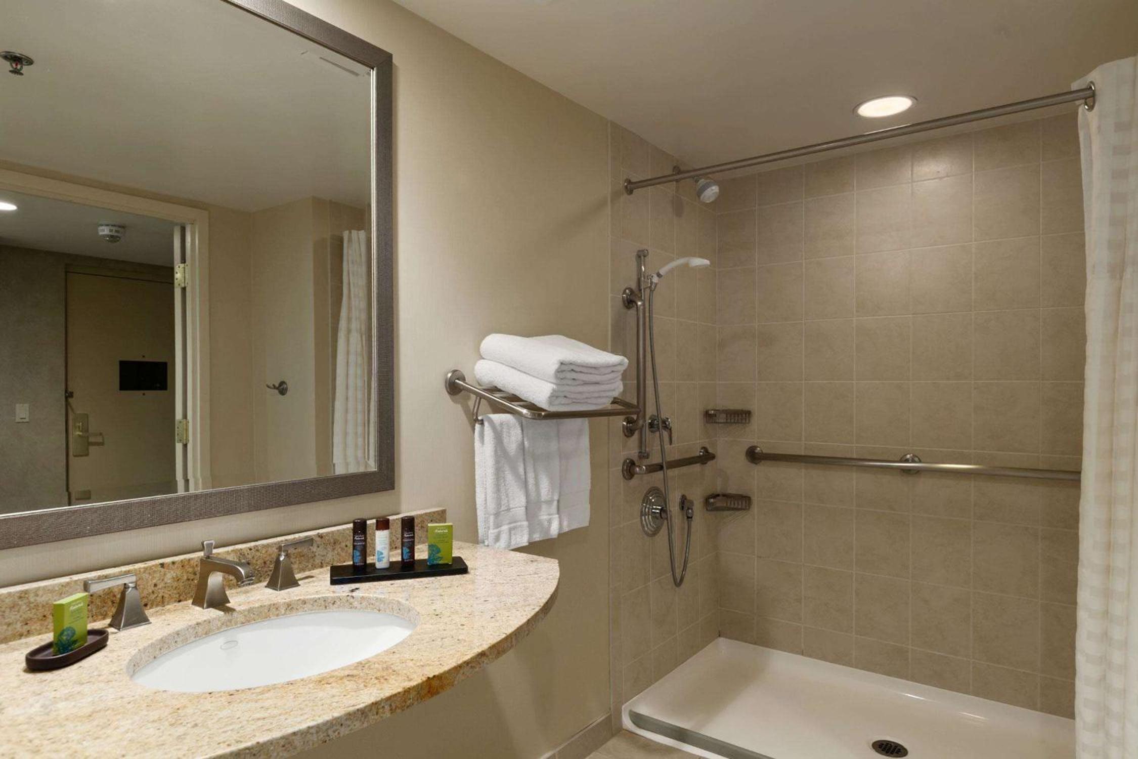 King Room with Roll-In Shower - Mobility Access/Non-Smoking - Photo 2