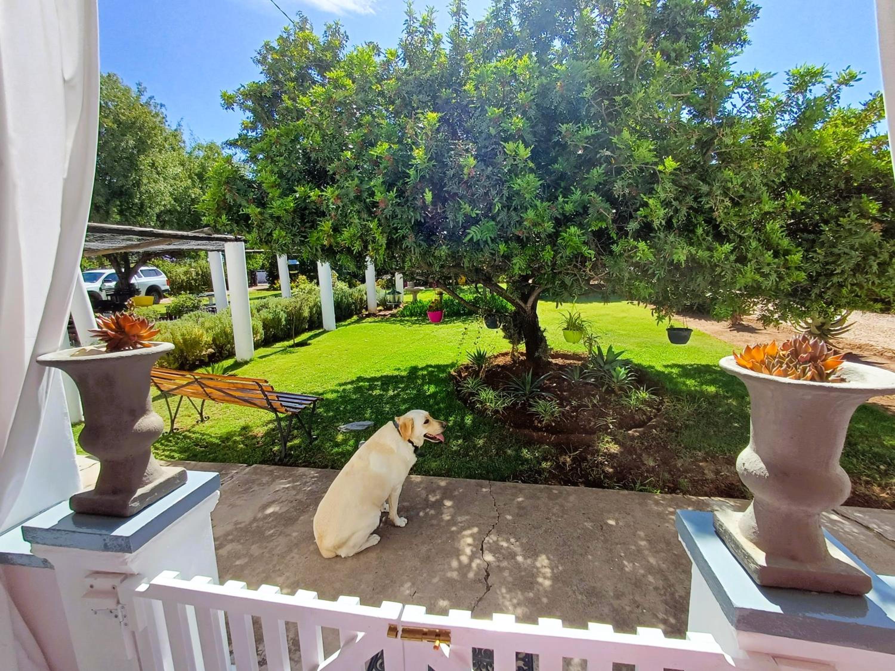 Cottage with Garden View - Photo 28