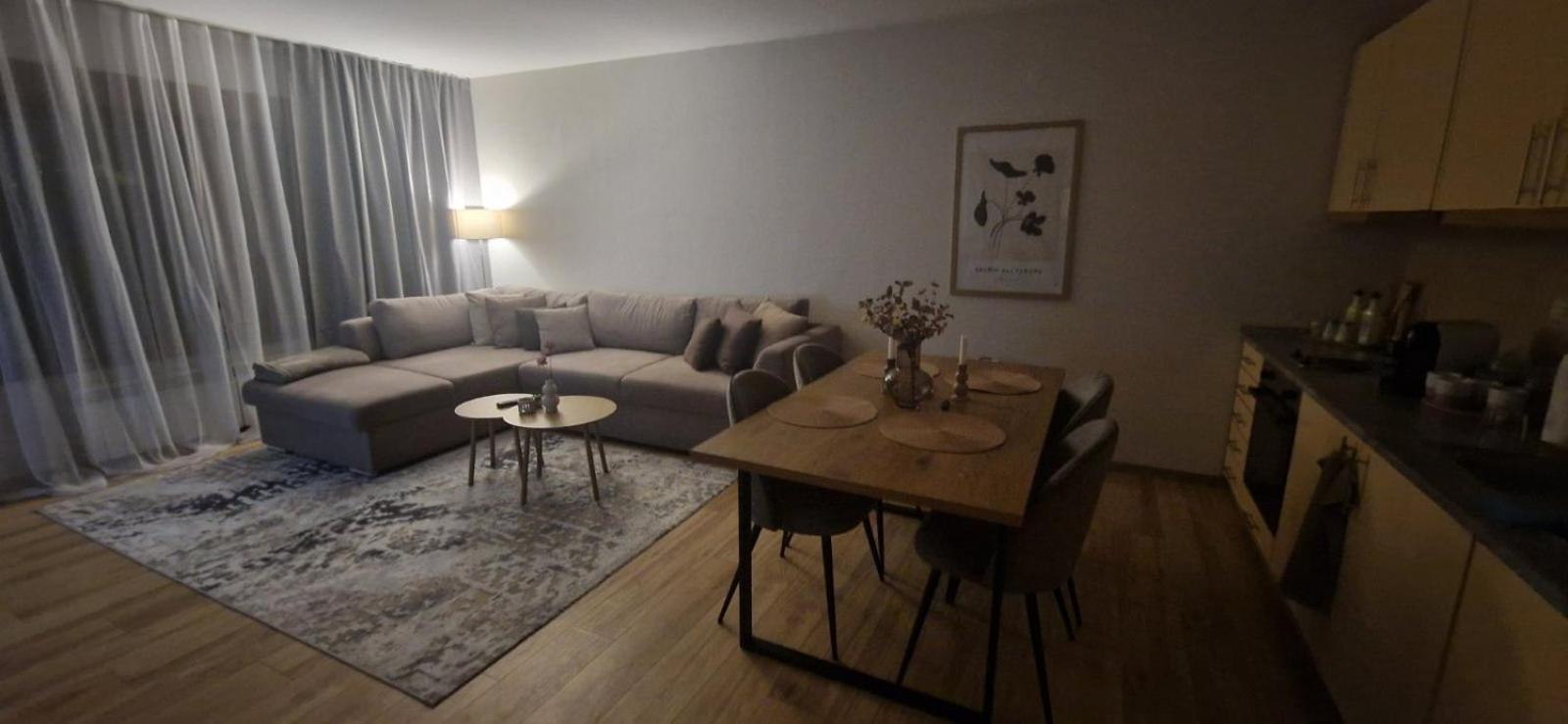 One-Bedroom Apartment photo 3