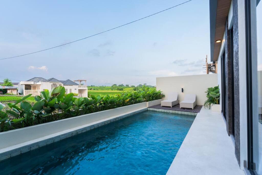 One-Bedroom Villa photo 2